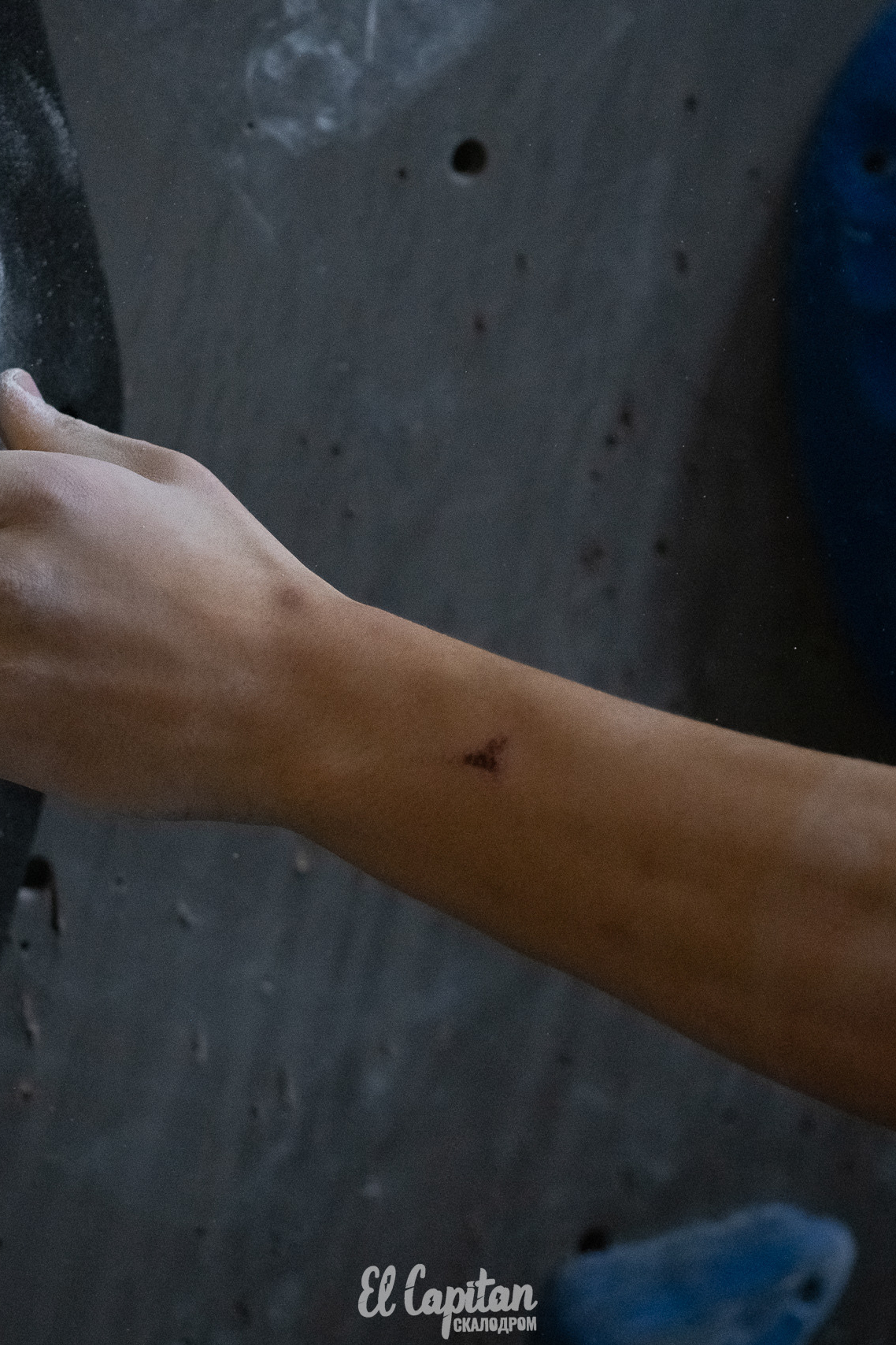 Спорт Ферма. Fotógrafos Daria y Dmitry Arsentyevs