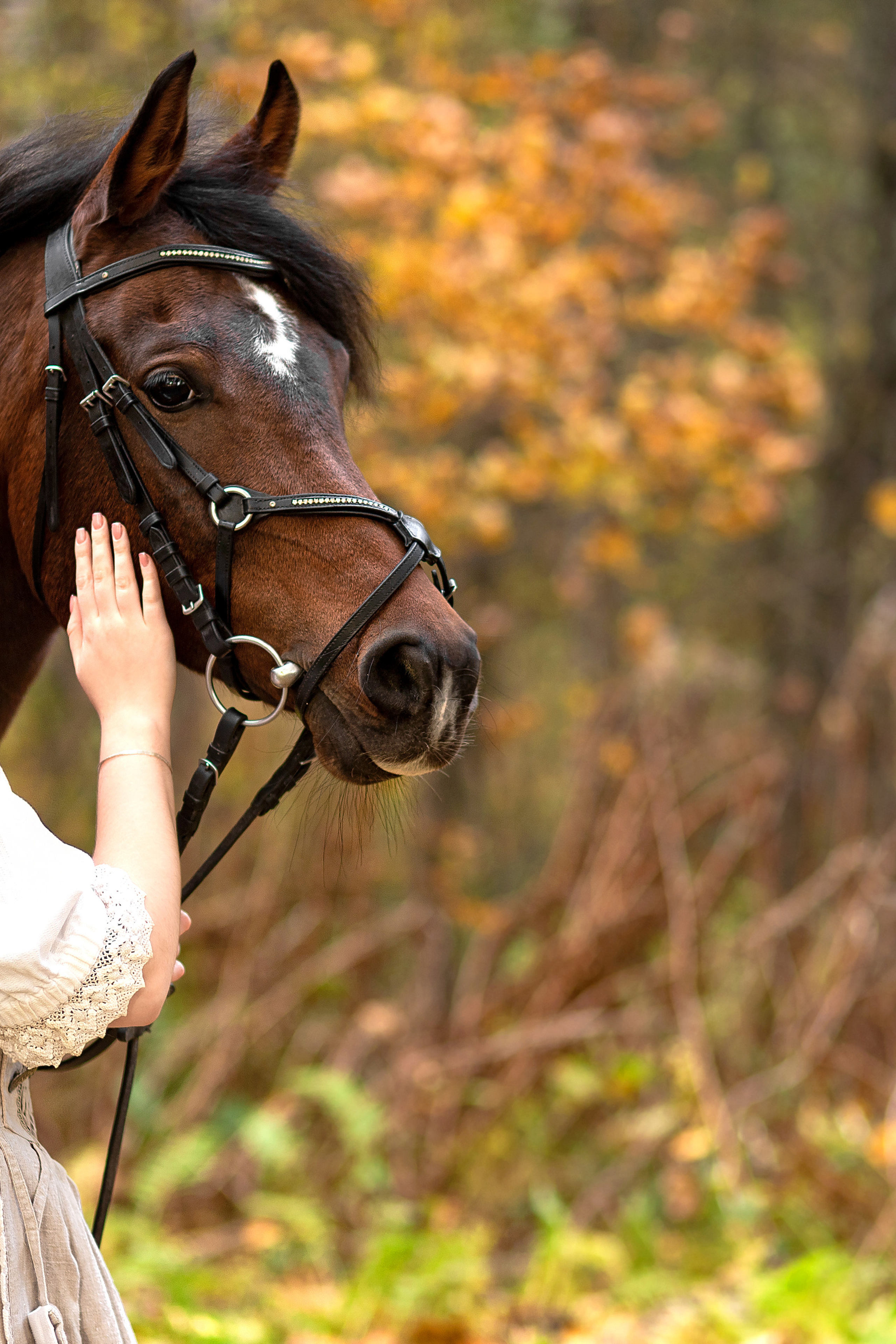 Полина и лошадка Гуля. КрисTina Олейник — твой фотограф Санкт-Петербург/Москва/Омск