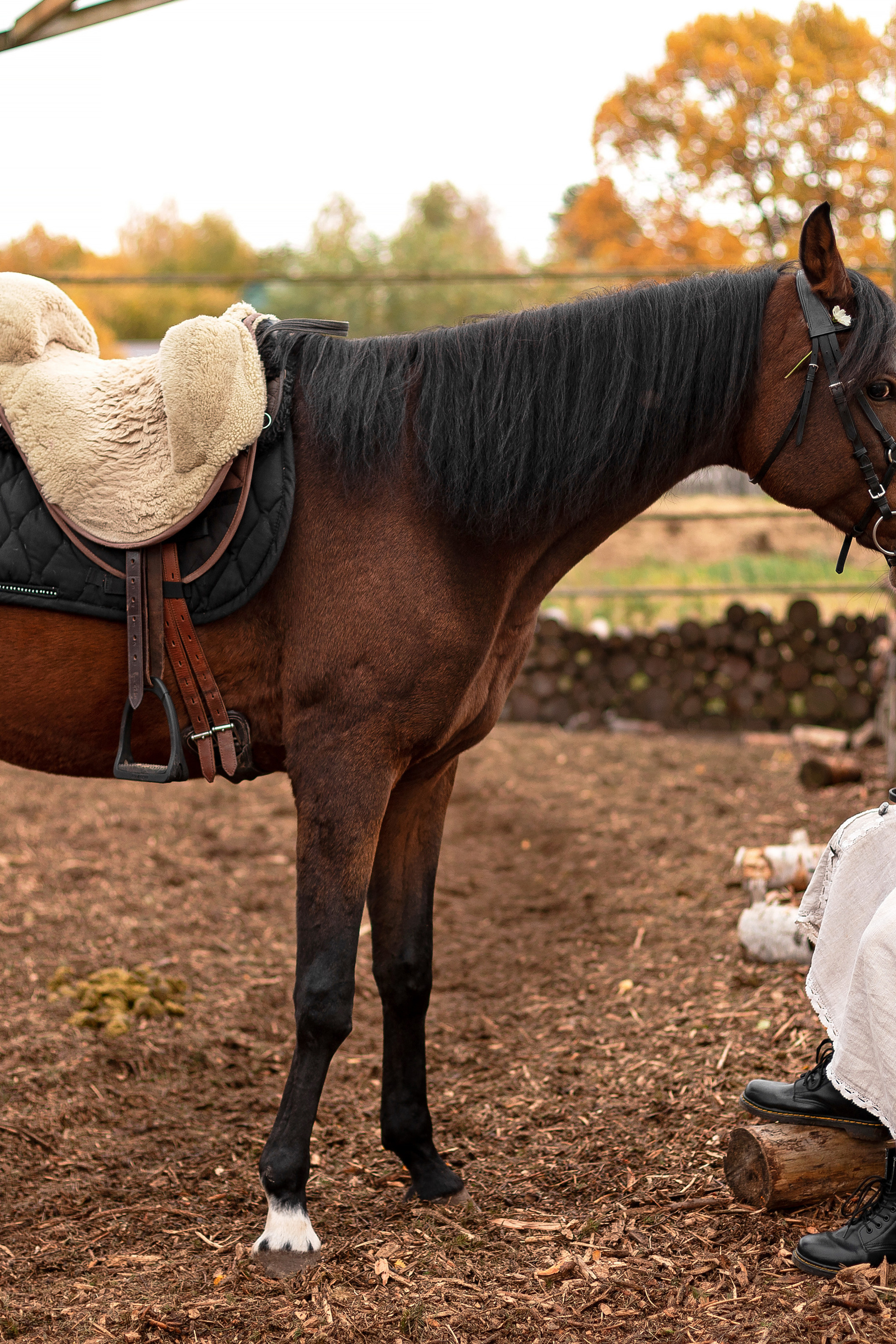 Полина и лошадка Гуля. КрисTina Олейник — твой фотограф Санкт-Петербург/Москва/Омск