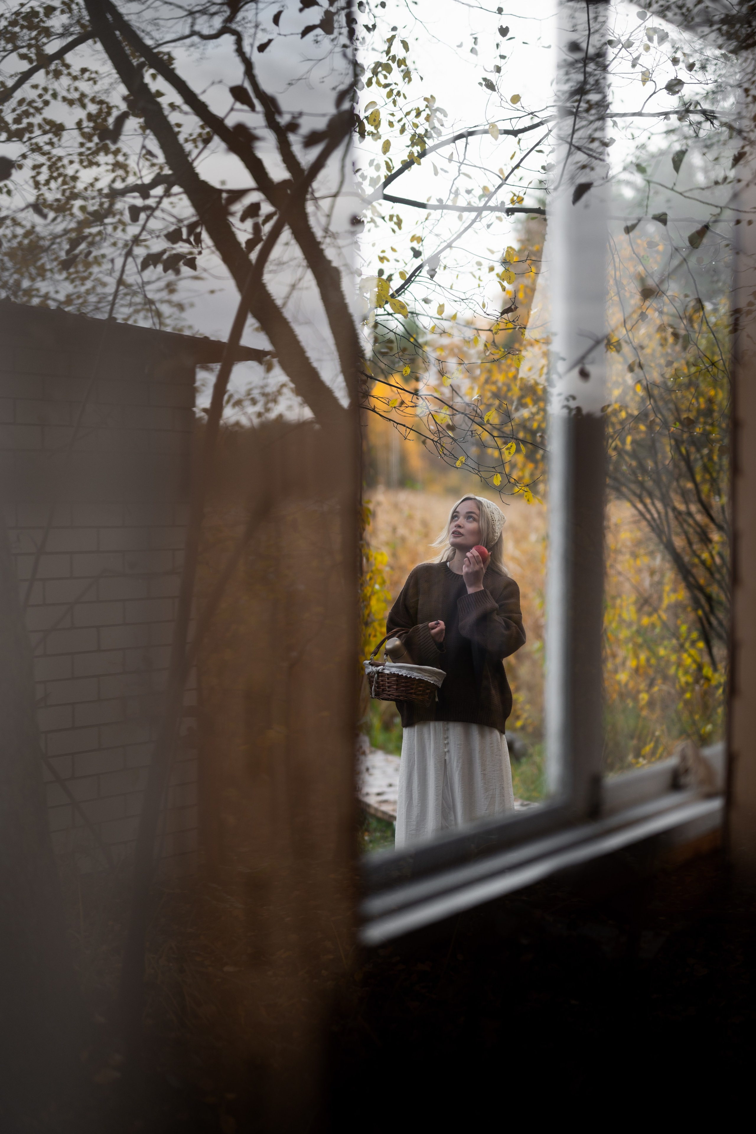 Лесные истории