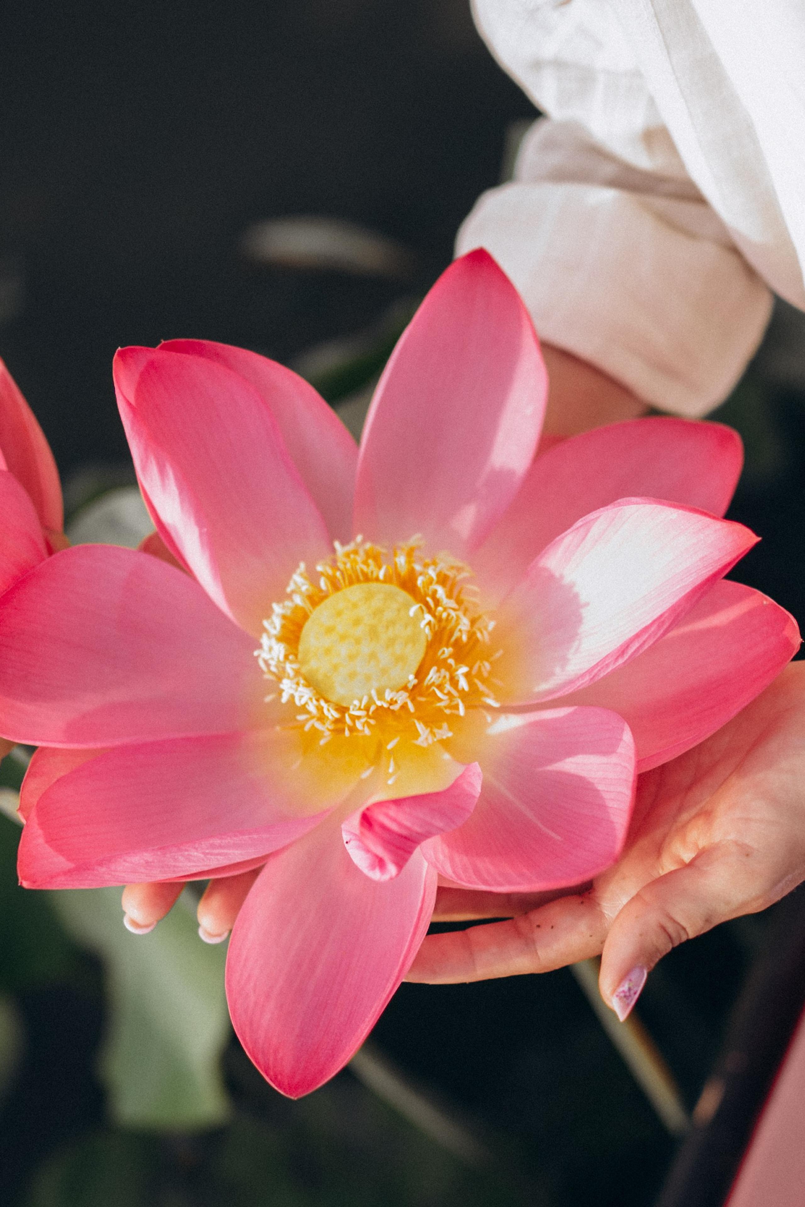 Истории. Фотограф Горбенко Анна