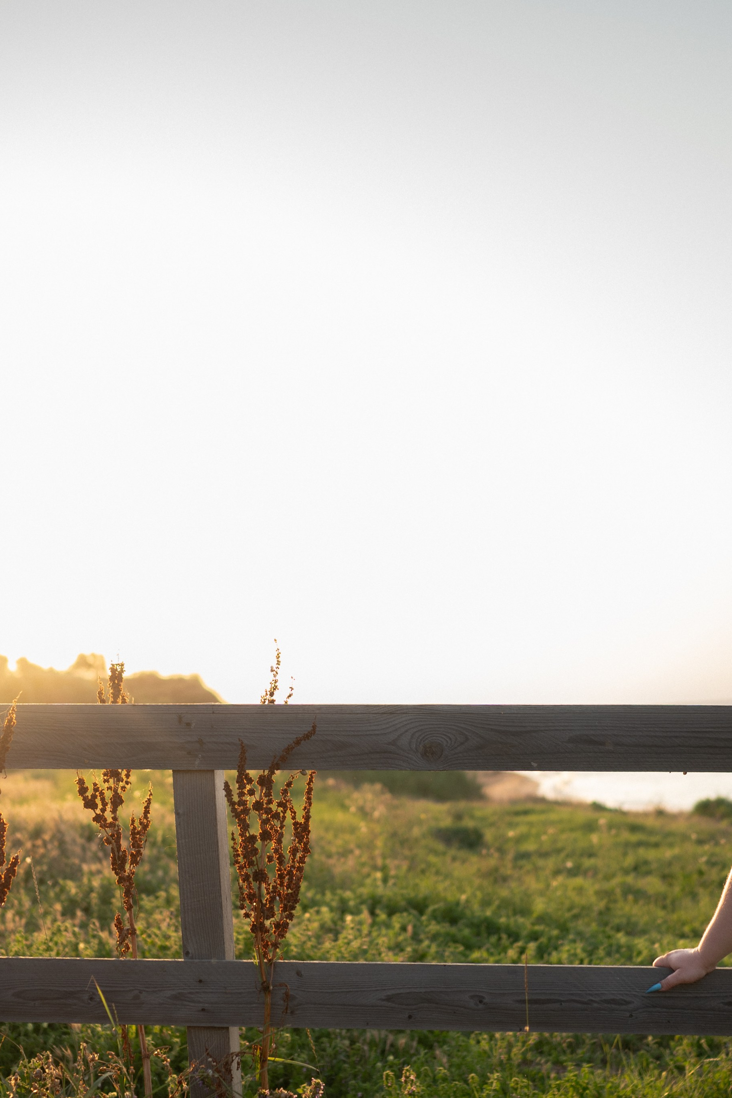 Истории. Фотограф Горбенко Анна
