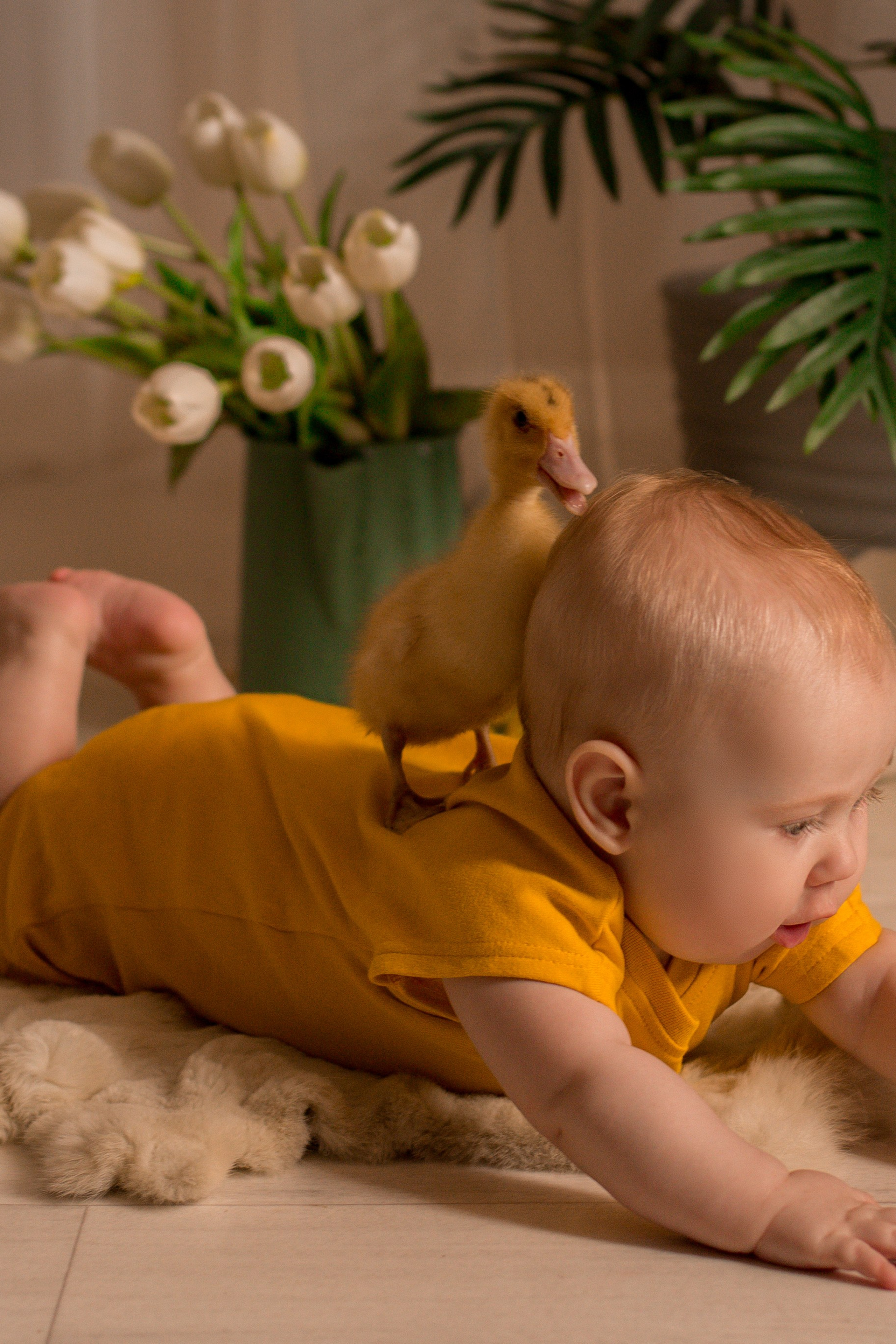 ОТЗЫВЫ. Фотограф в Киселёвске, Прокопьевске и Новокузнецке Анастасия Зубкова