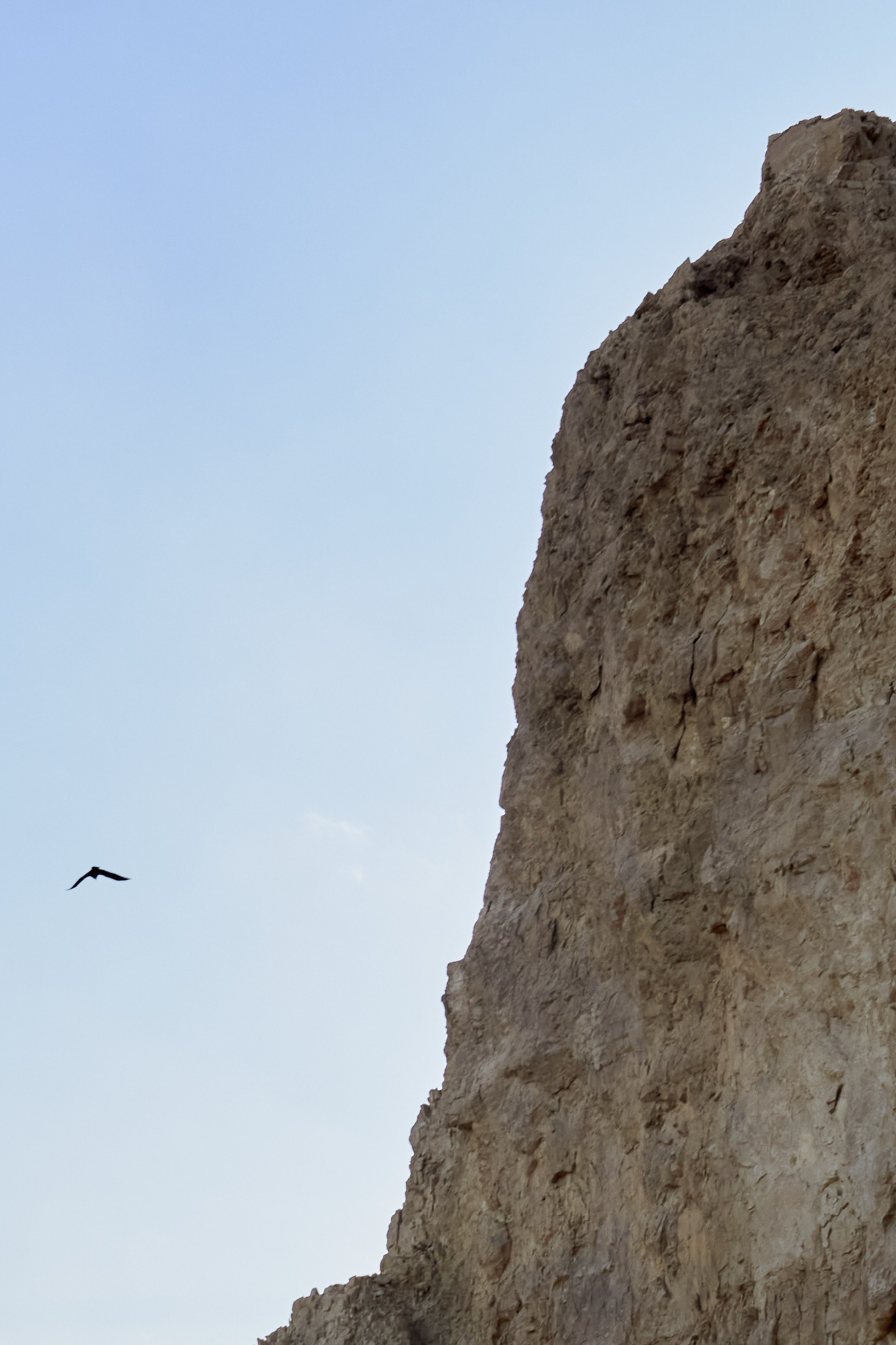 Иудейская пустыня