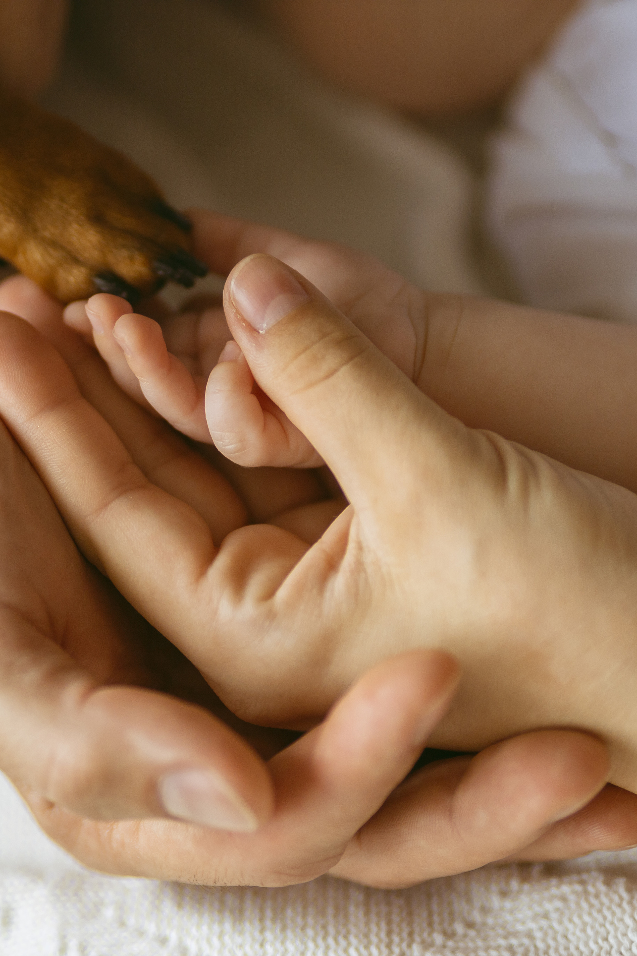 Счастье в доме