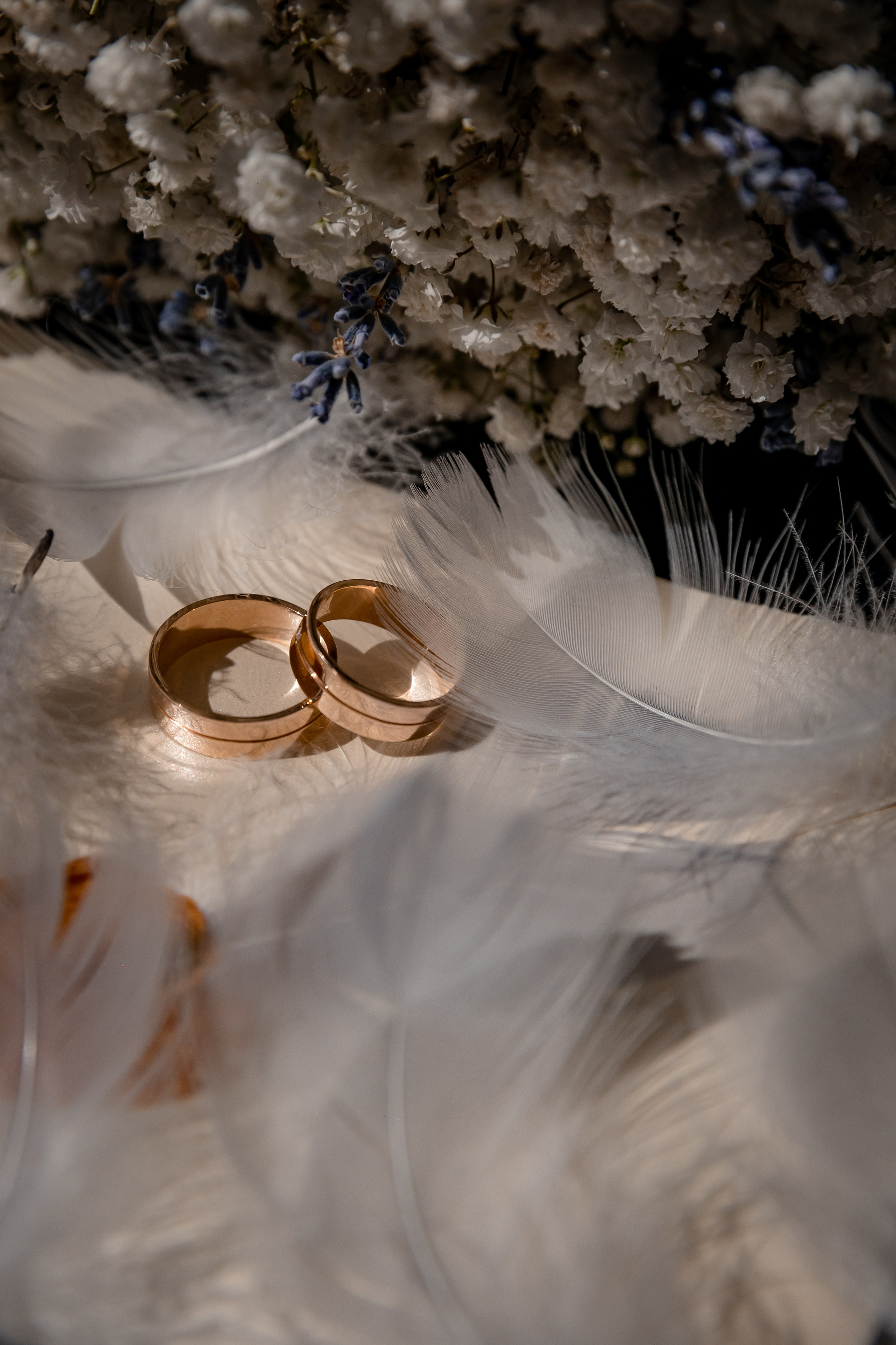 Екатерина и Максим