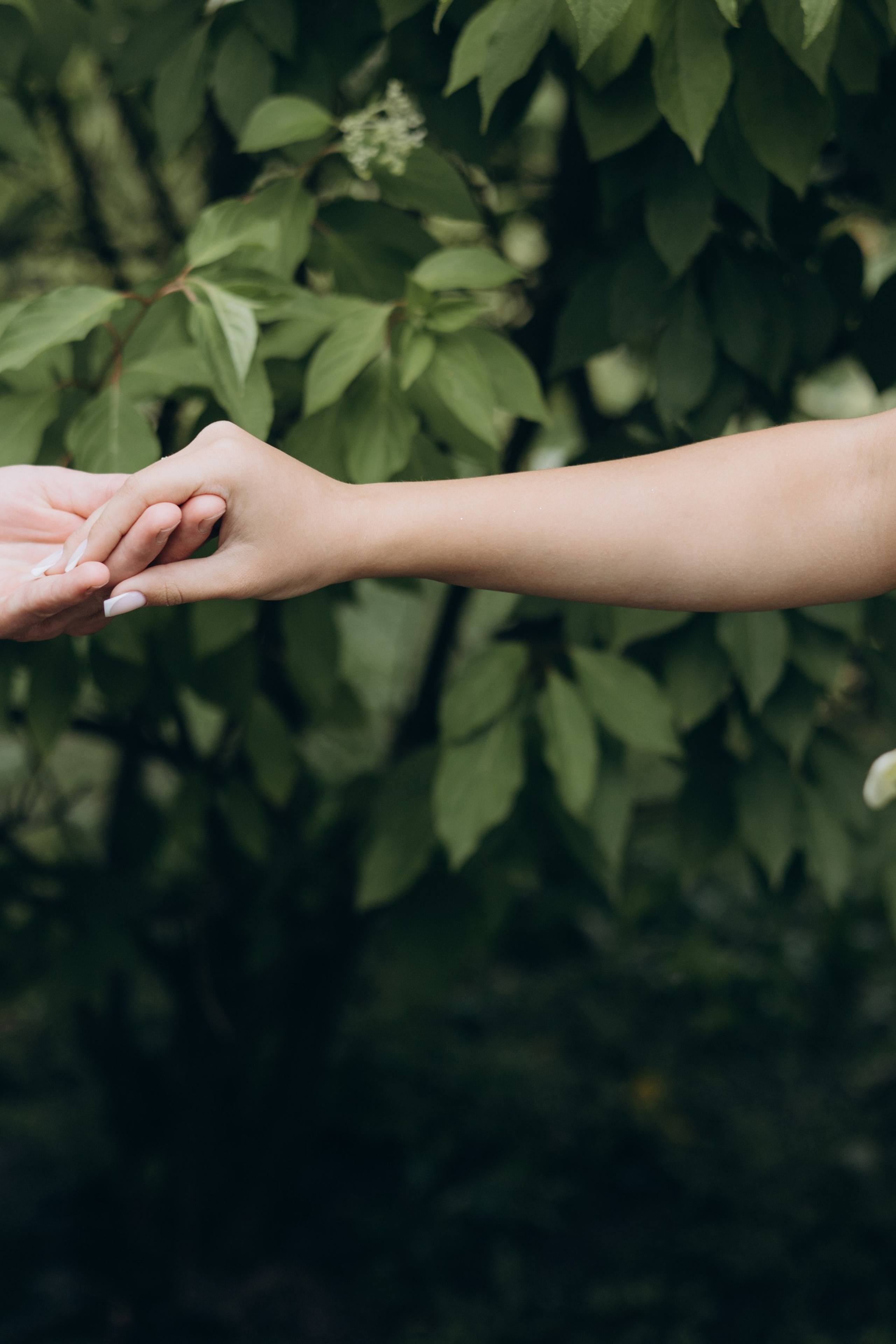 1 августа 2025