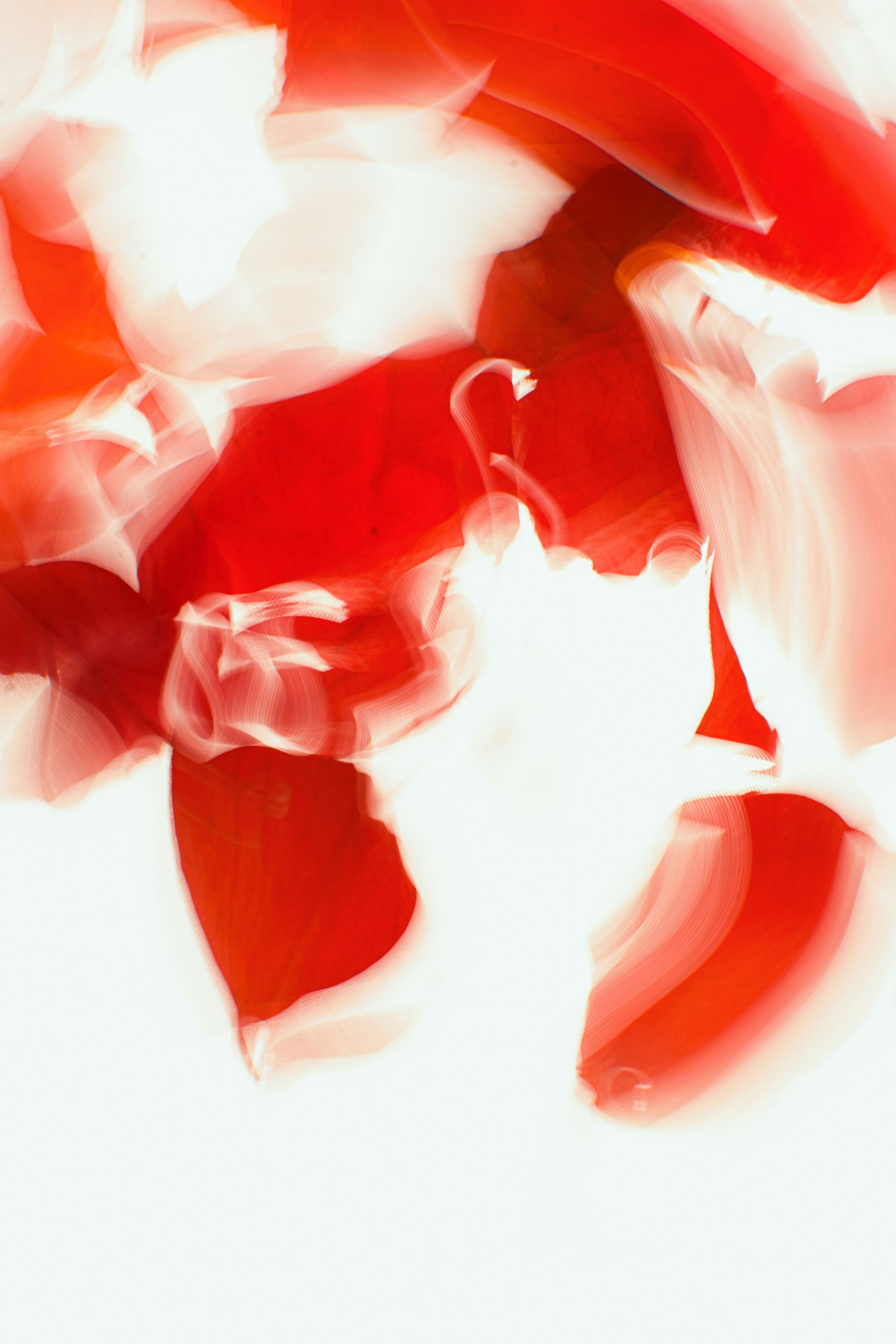 Абстракция, натюрморт и др