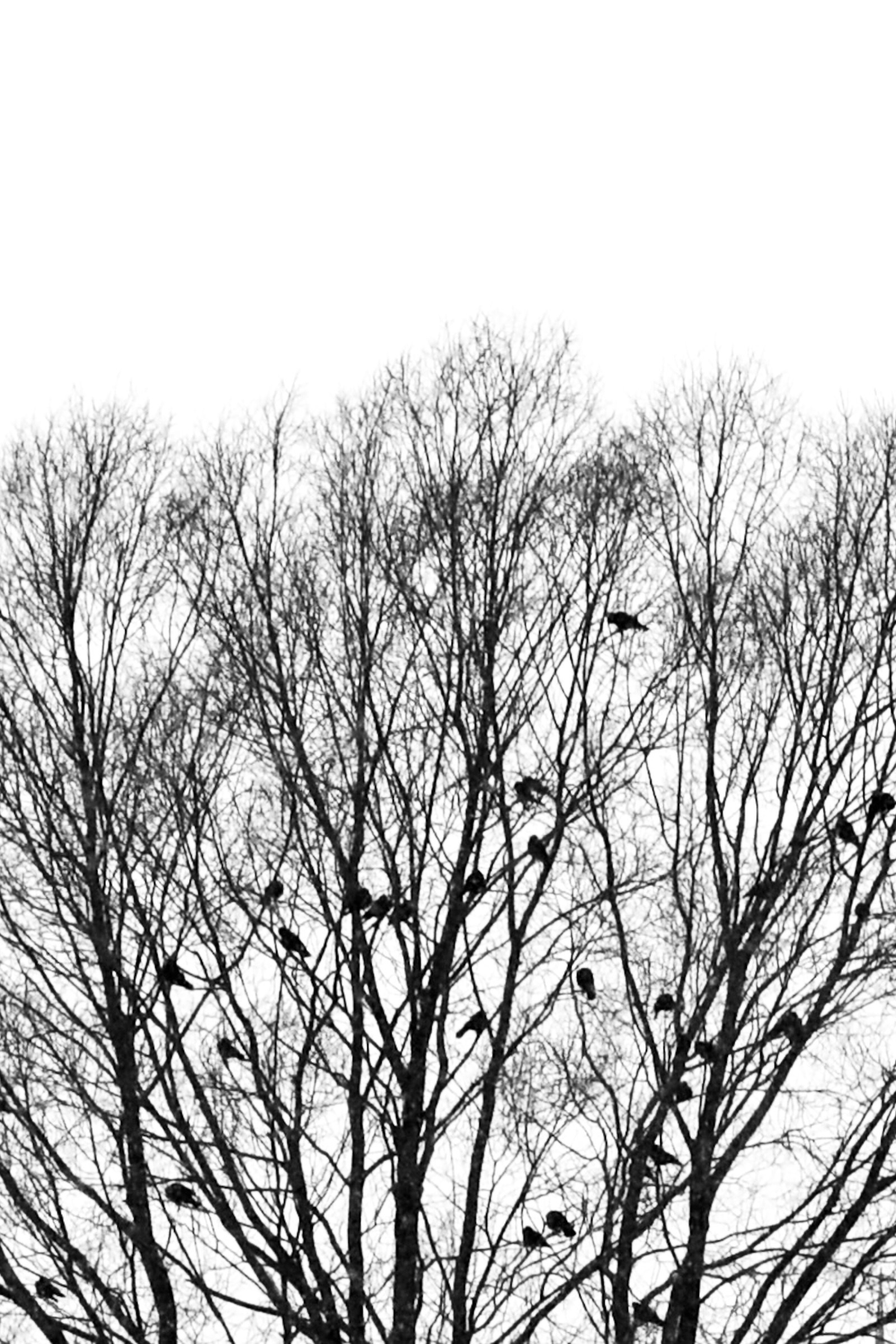 Блог фотографа. Фотосессии и репортаж — Фотограф в Москве — Рина Серёгина