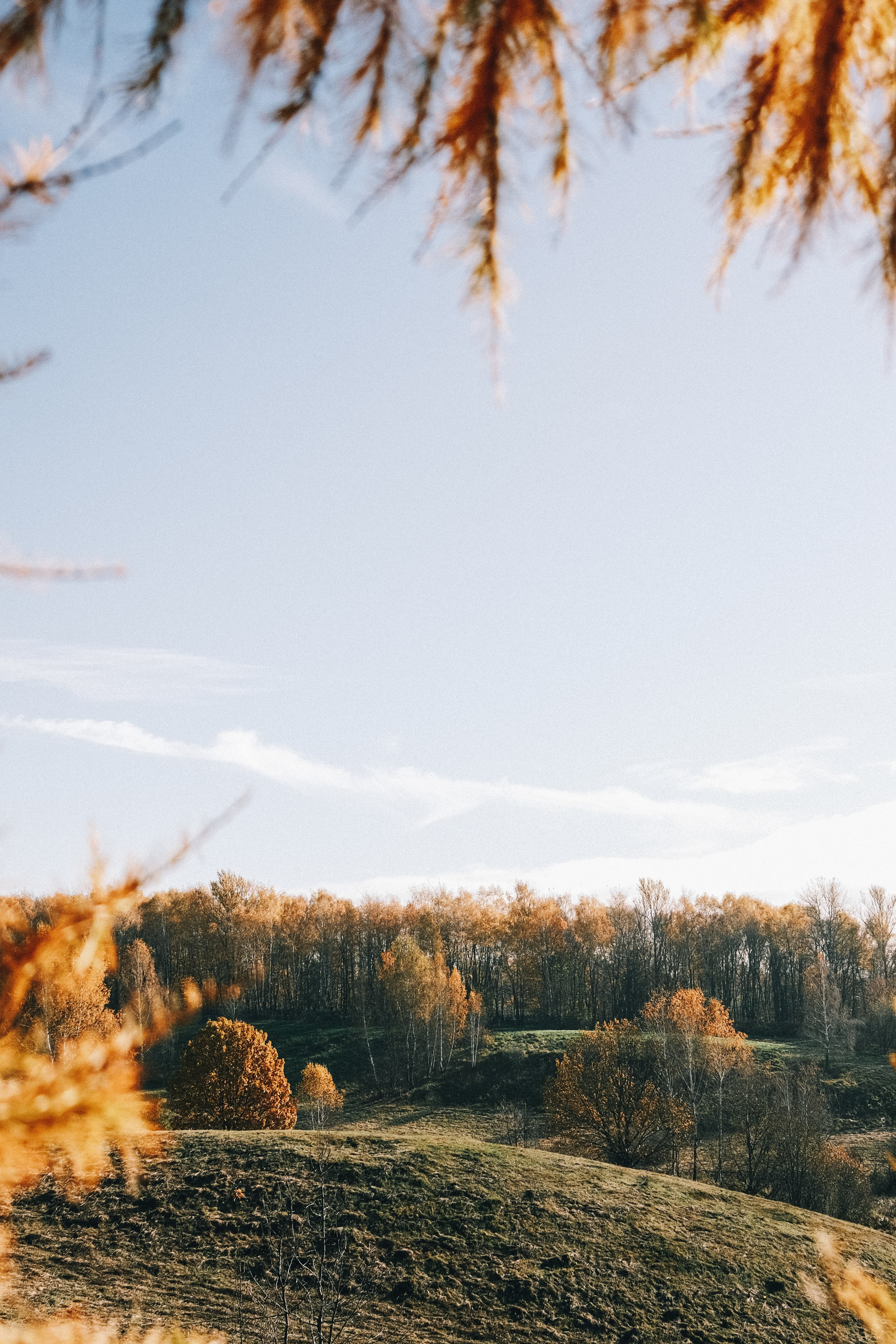 Блог. Аня Степанова