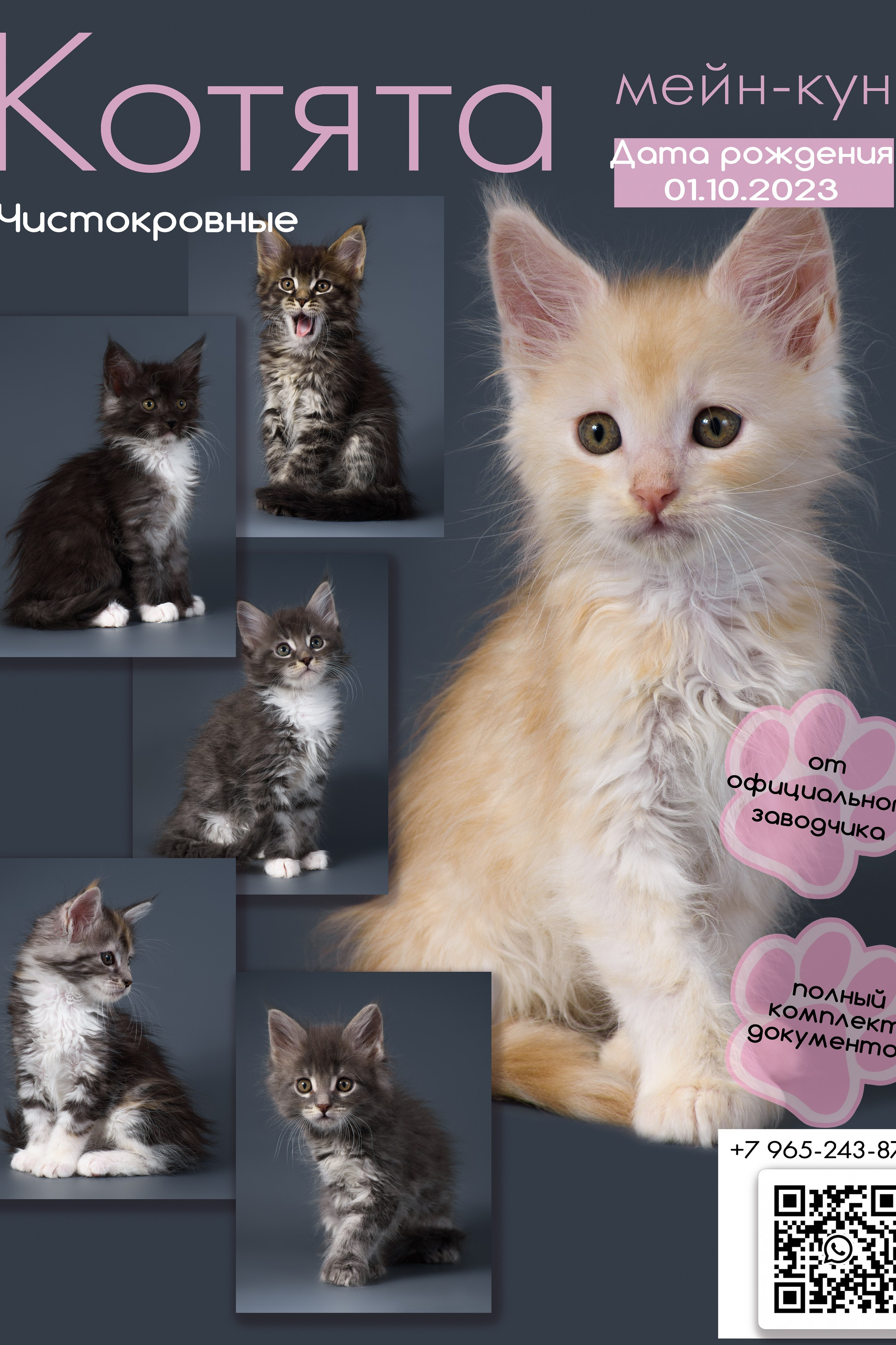 Создание инфографики для бизнеса — Наглядная визуализация данных. Gramy-studio: фото, видео, инфографика и 3D визуализация для маркетплейсов