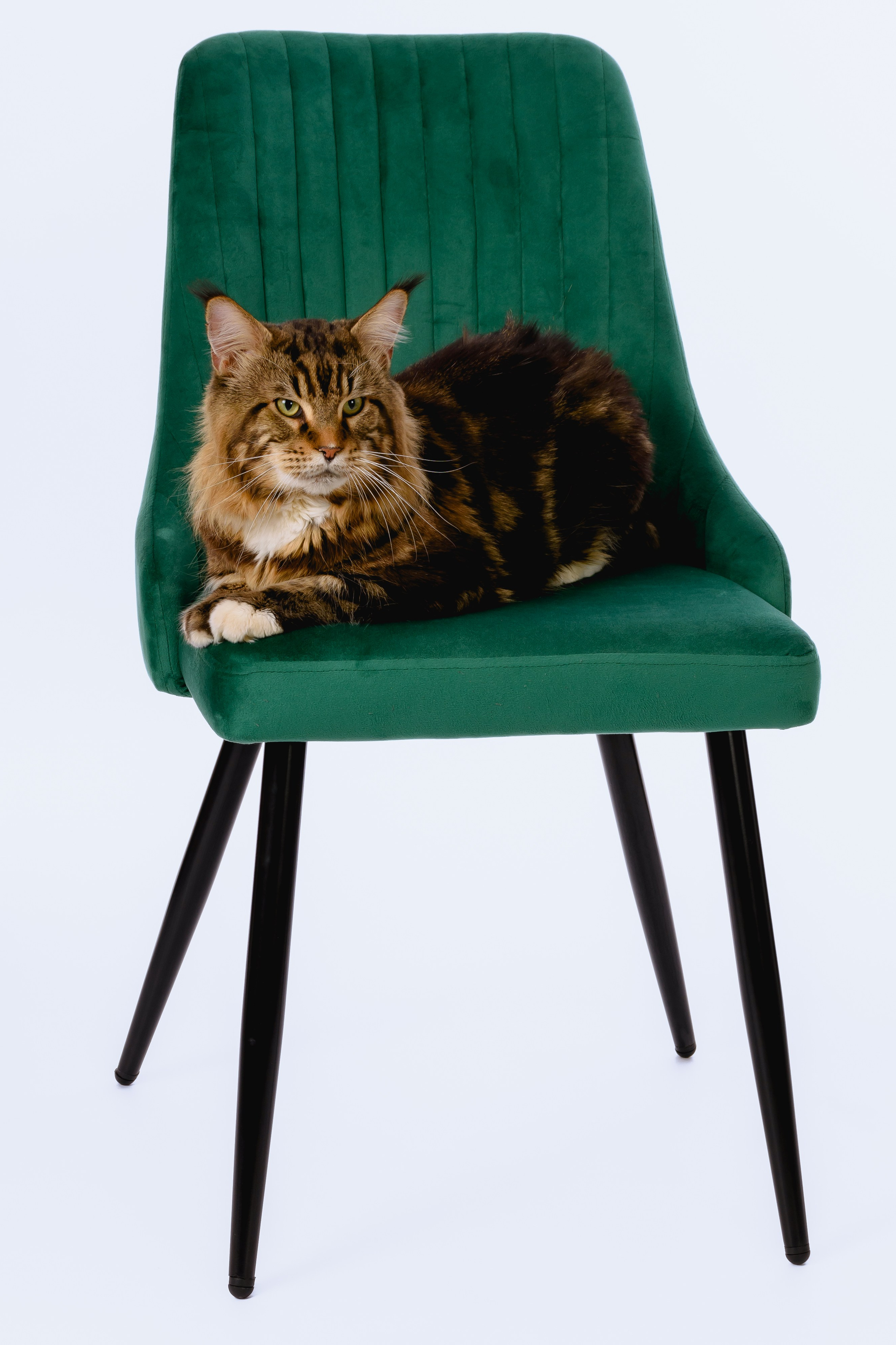 Фото товаров на белом фоне для маркетплейсов. Gramy-studio: фото, видео, инфографика и 3D визуализация для маркетплейсов