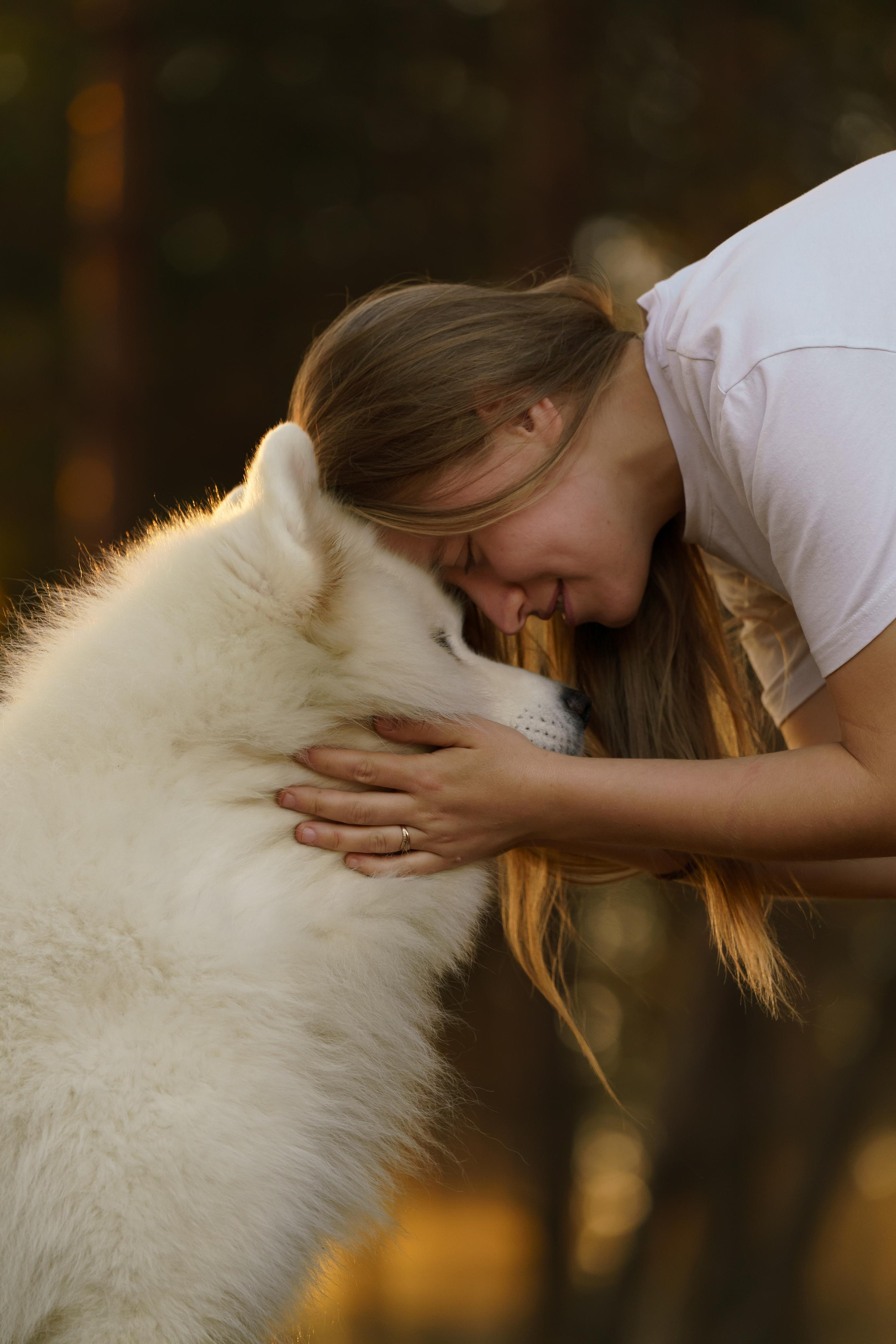 Найт и Стася