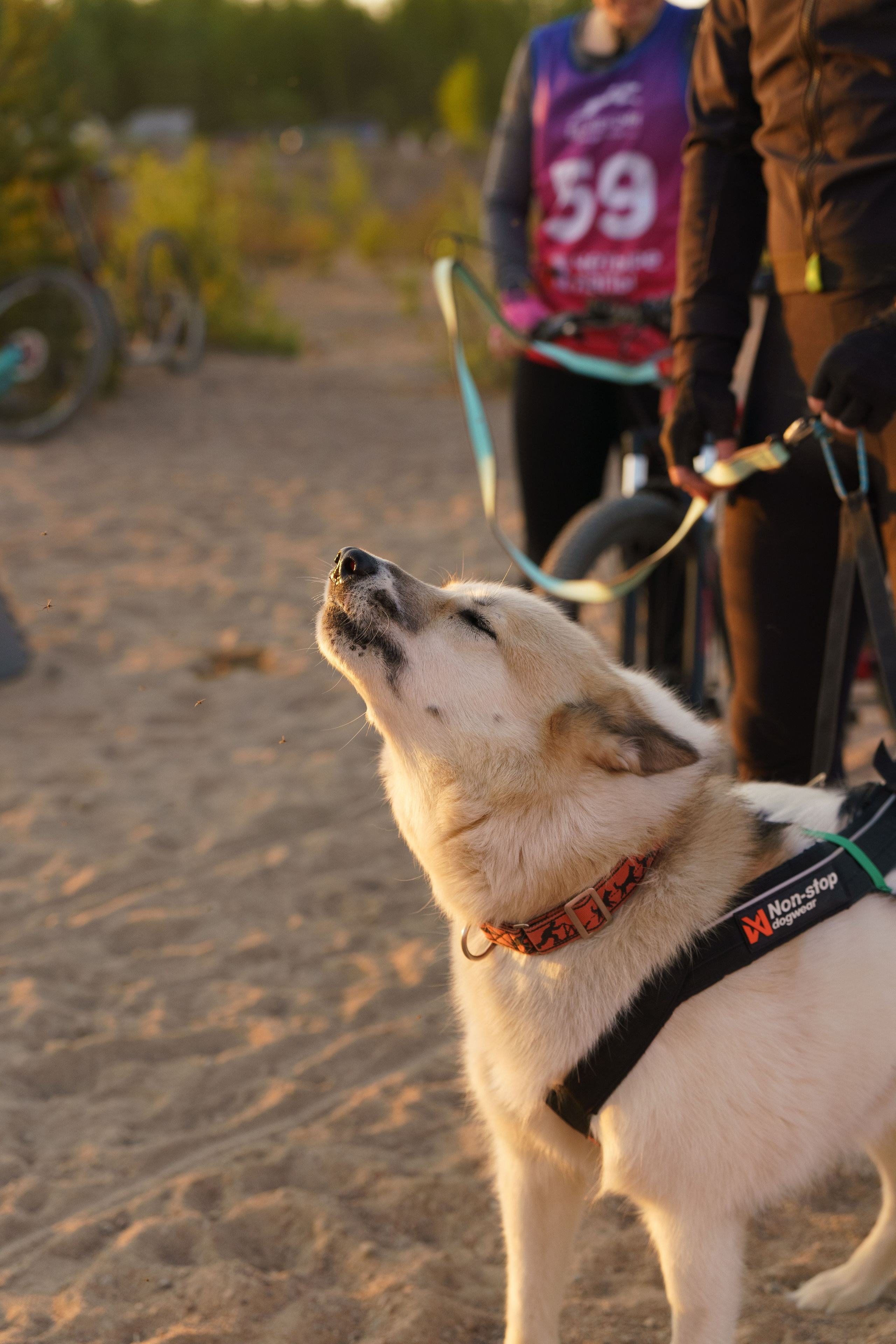 Белые Ночи 2024