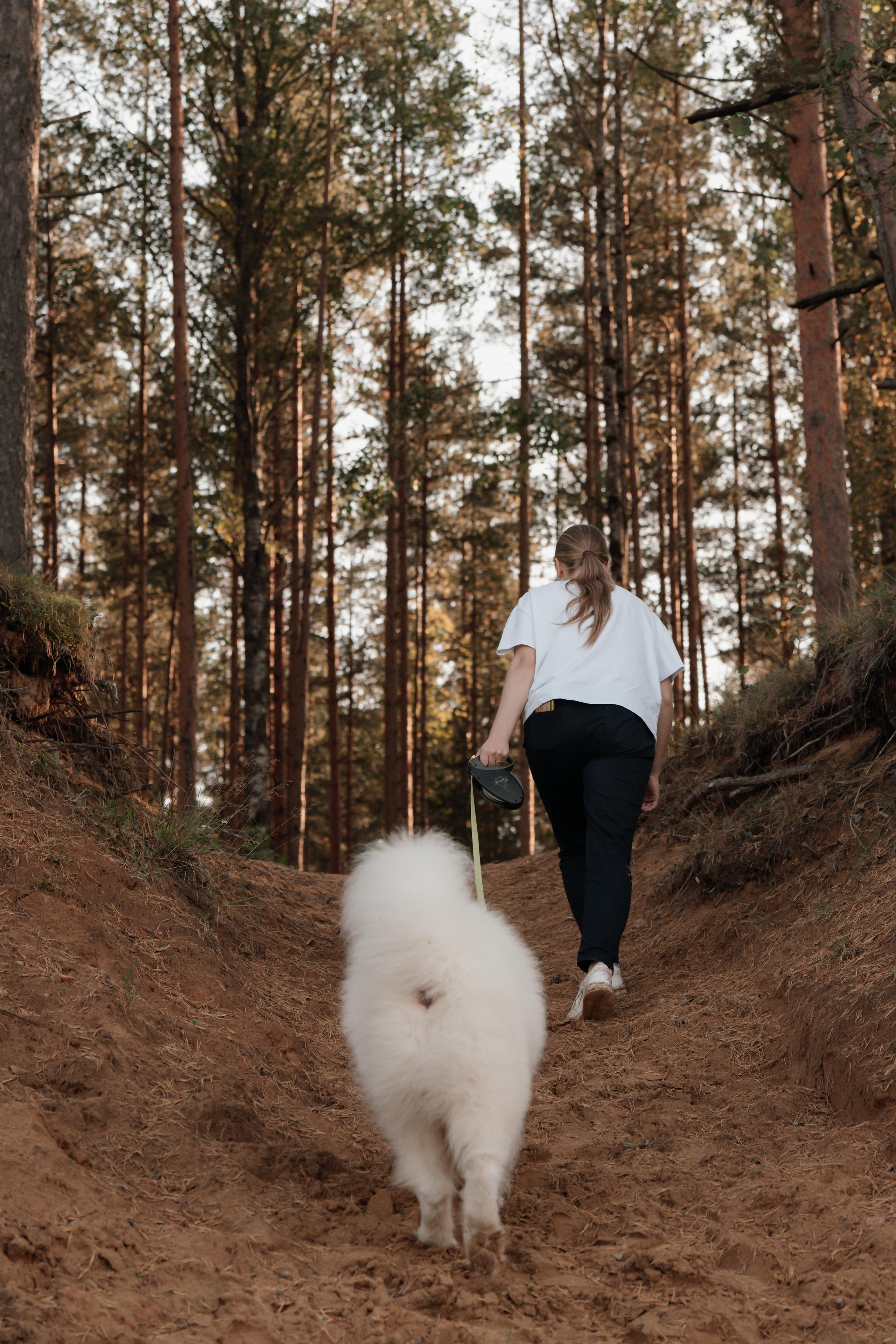 Найт и Стася