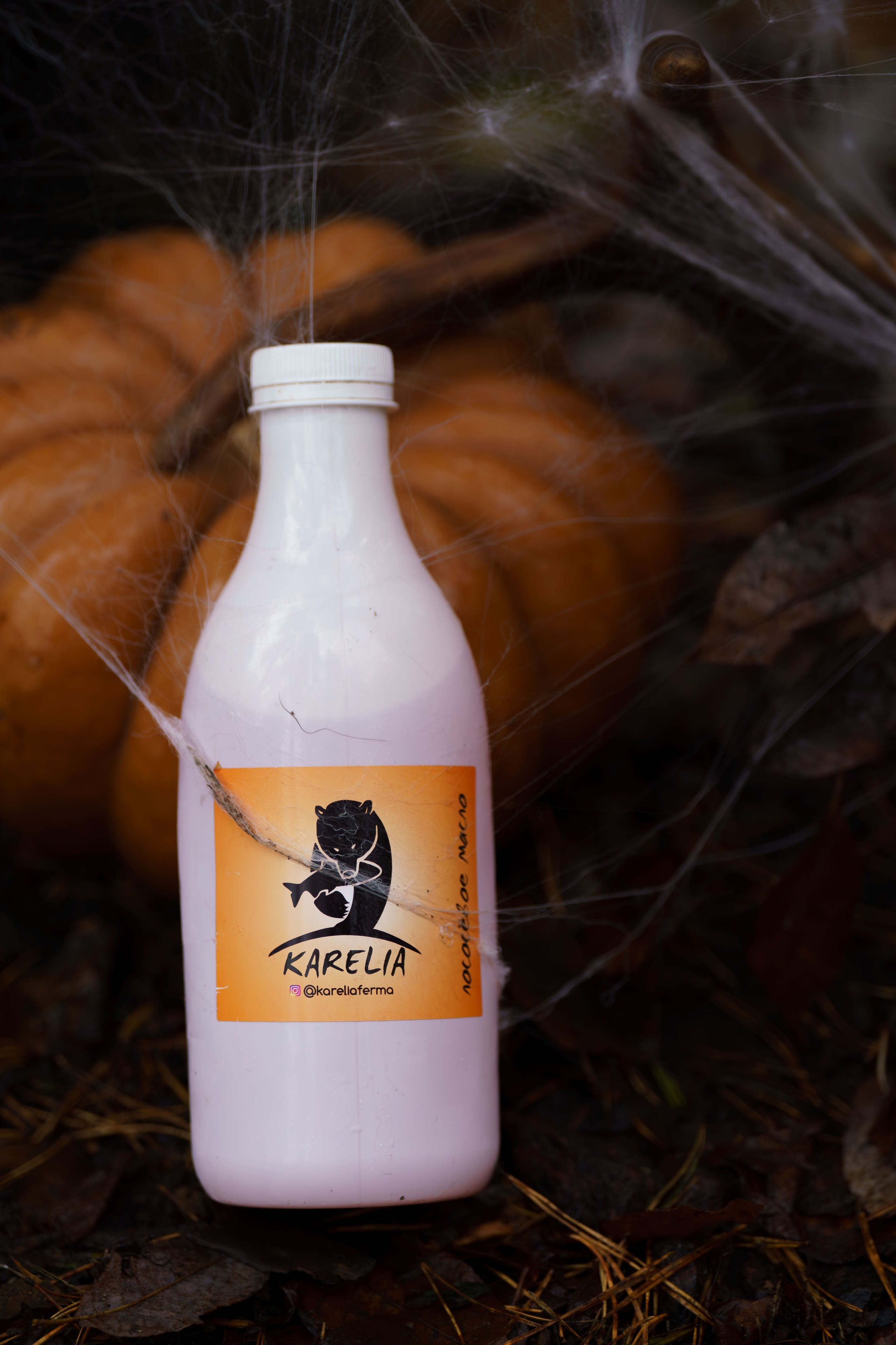 Хеллоуин для kareliaferma