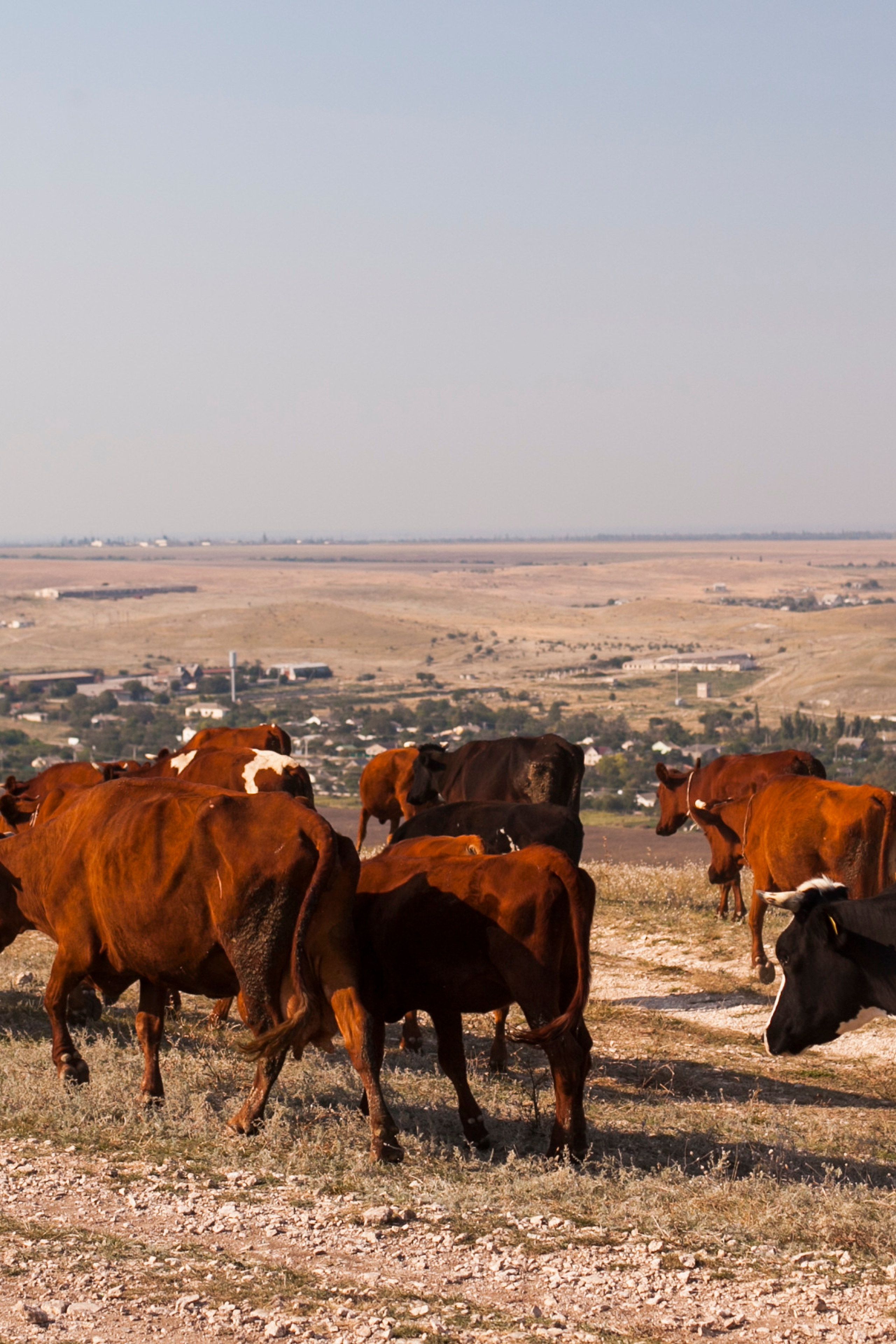 Гора Клементьева, Крым. Портретный фотограф в Москве Анастасия Потёмкина