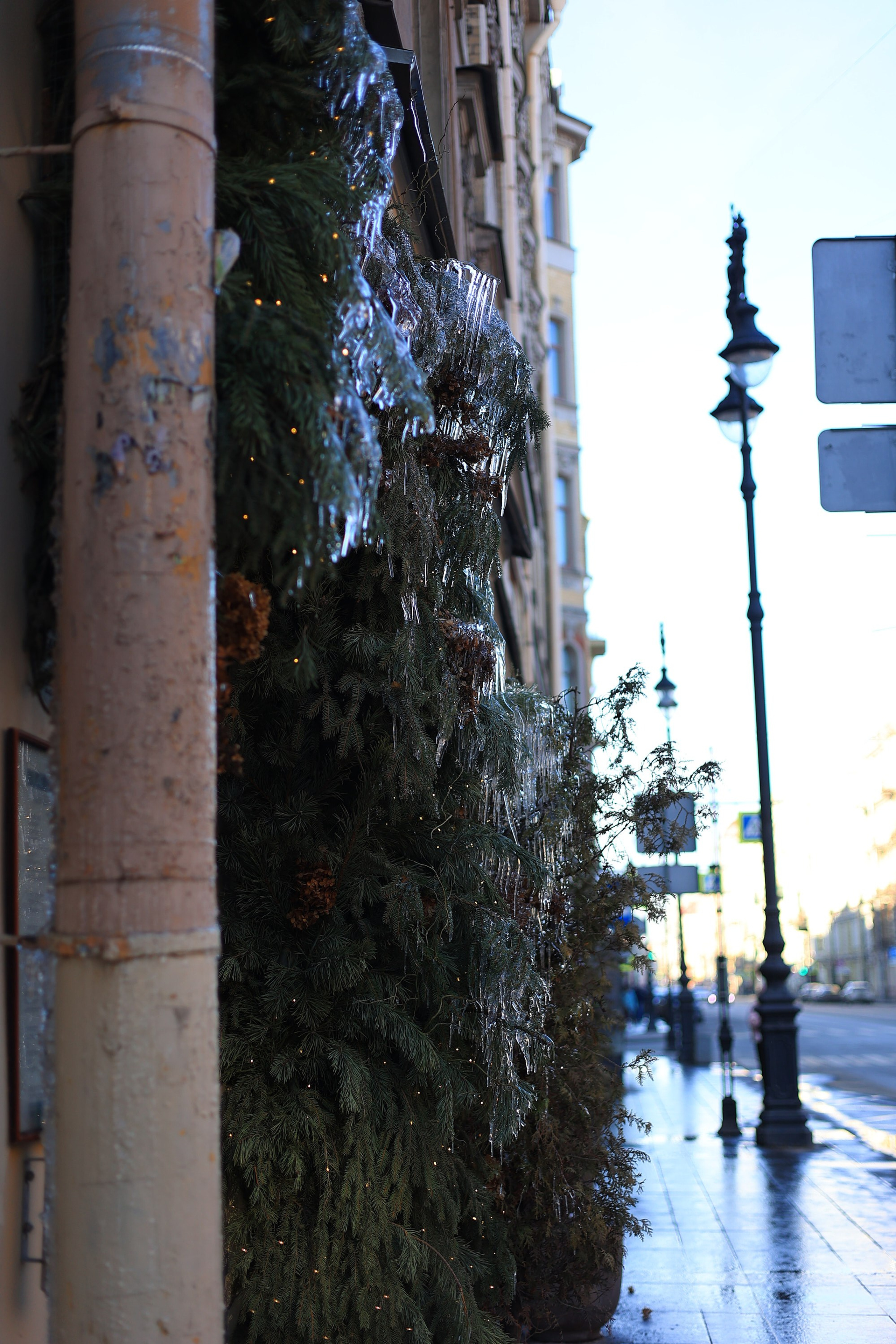 Уличное фото. Спортивный и репортажный фотограф Андрей Баскаков