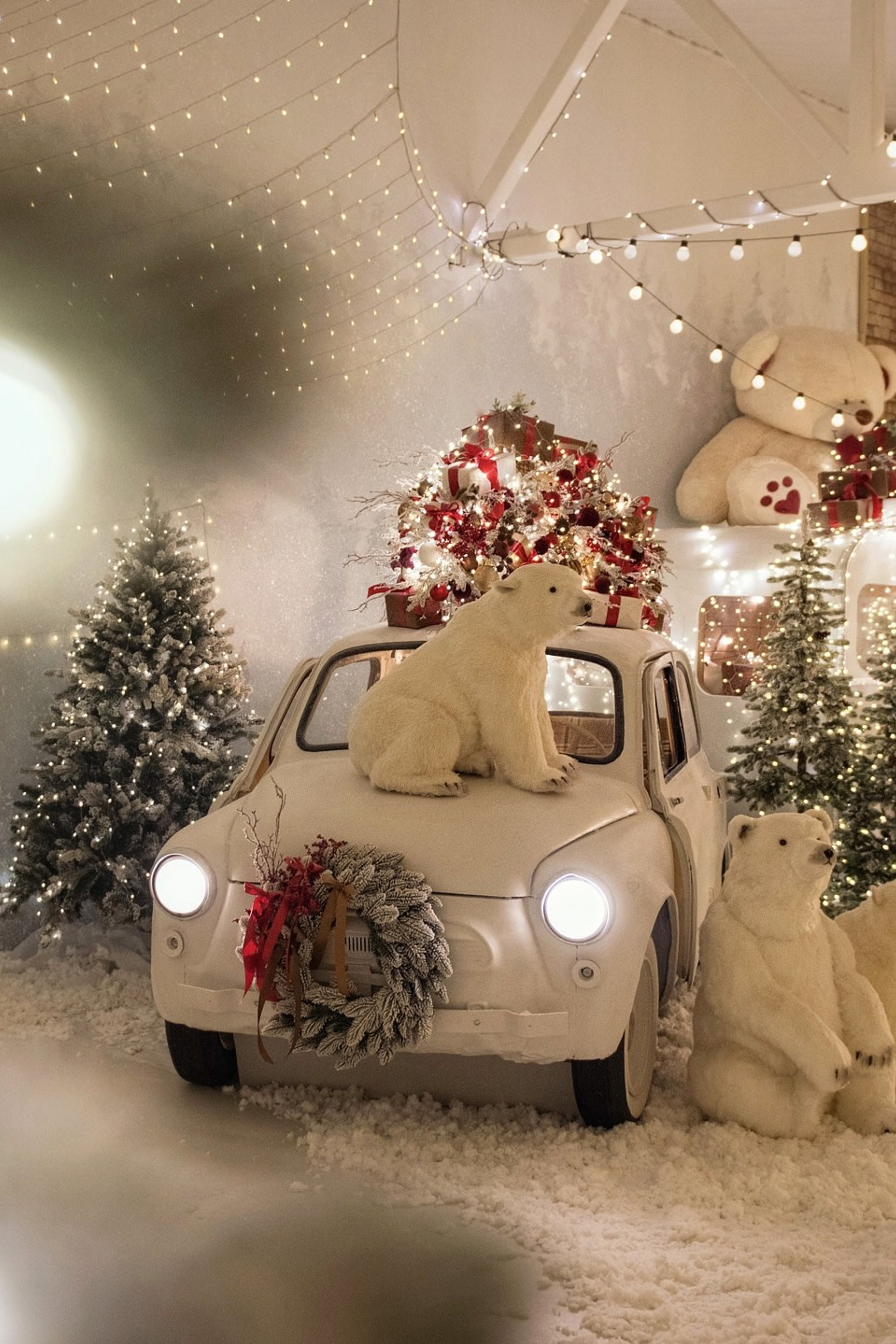 Анонсы. Фотограф Универсал в Новосибирске