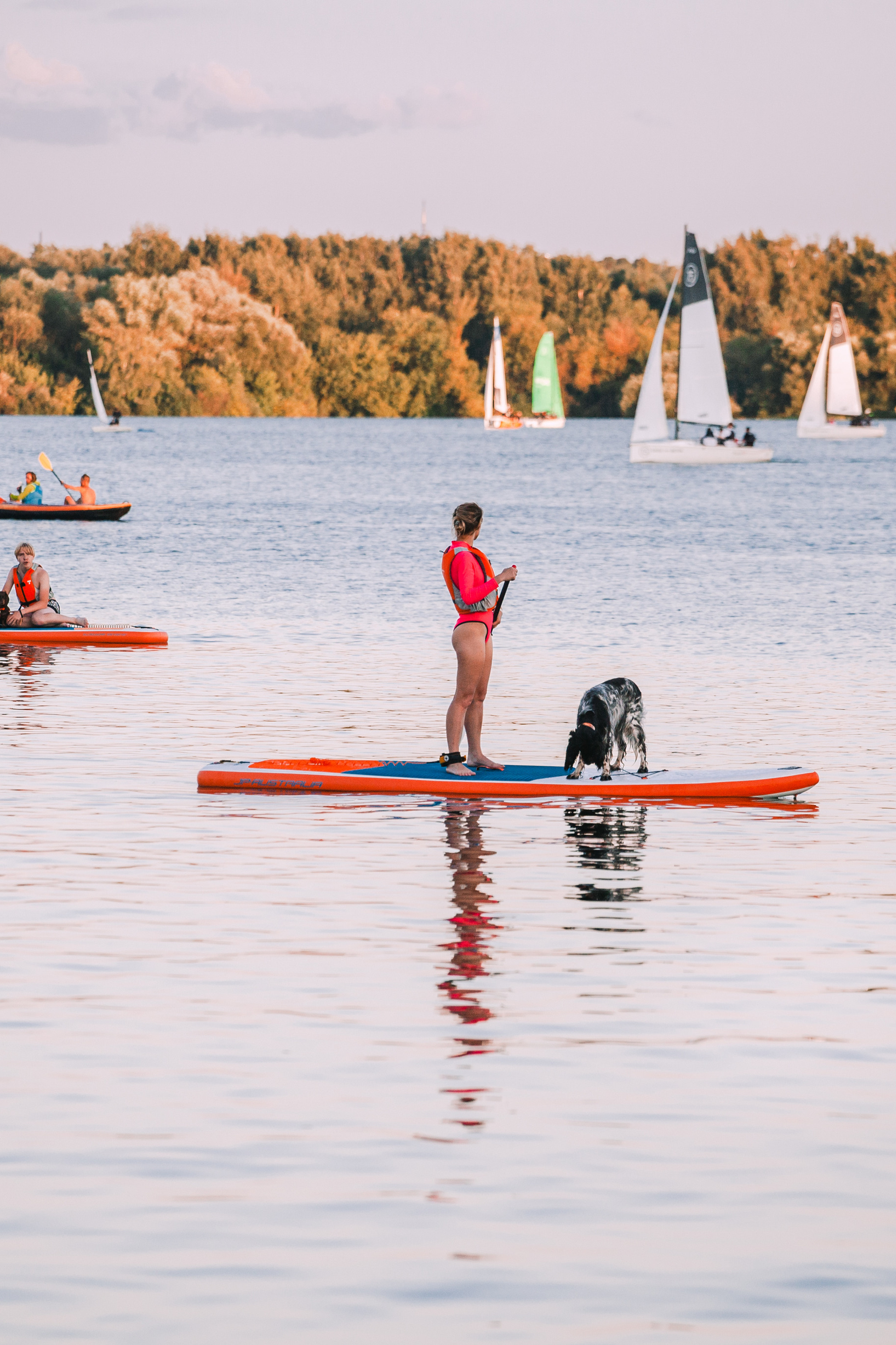 Истории. Фотограф-анималист Татьяна Степанова