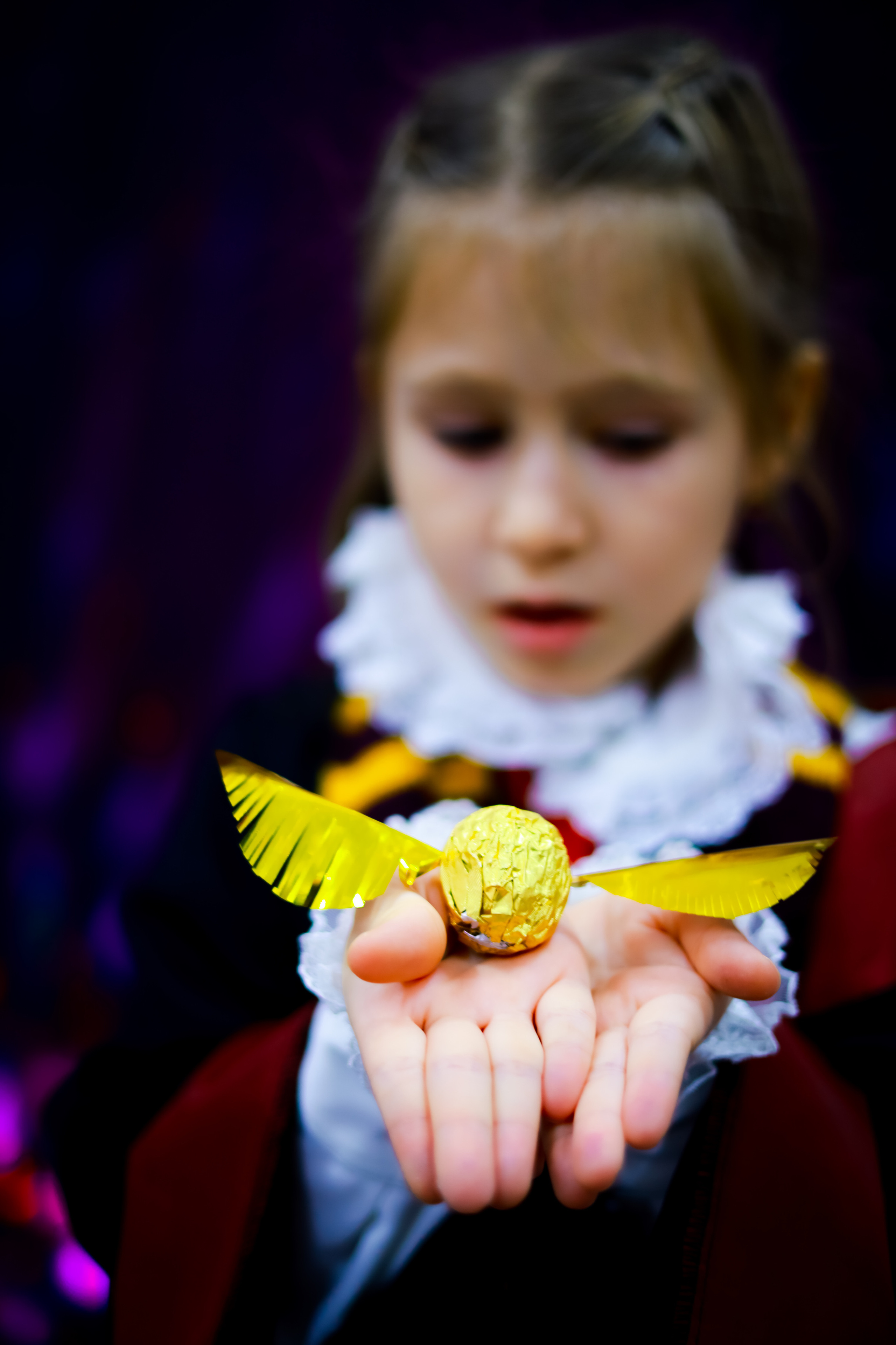 Поттериана