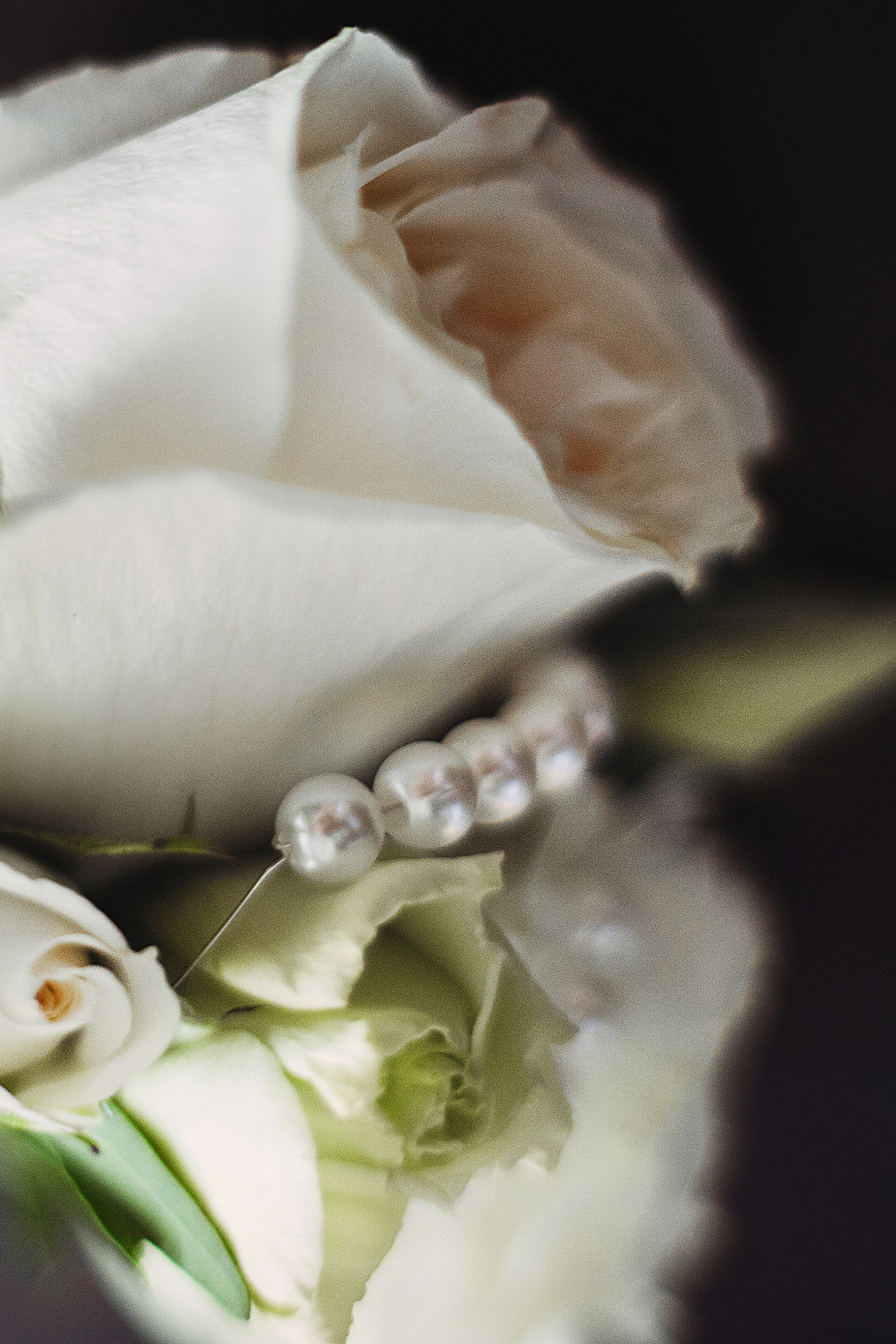 Александра и Даниил