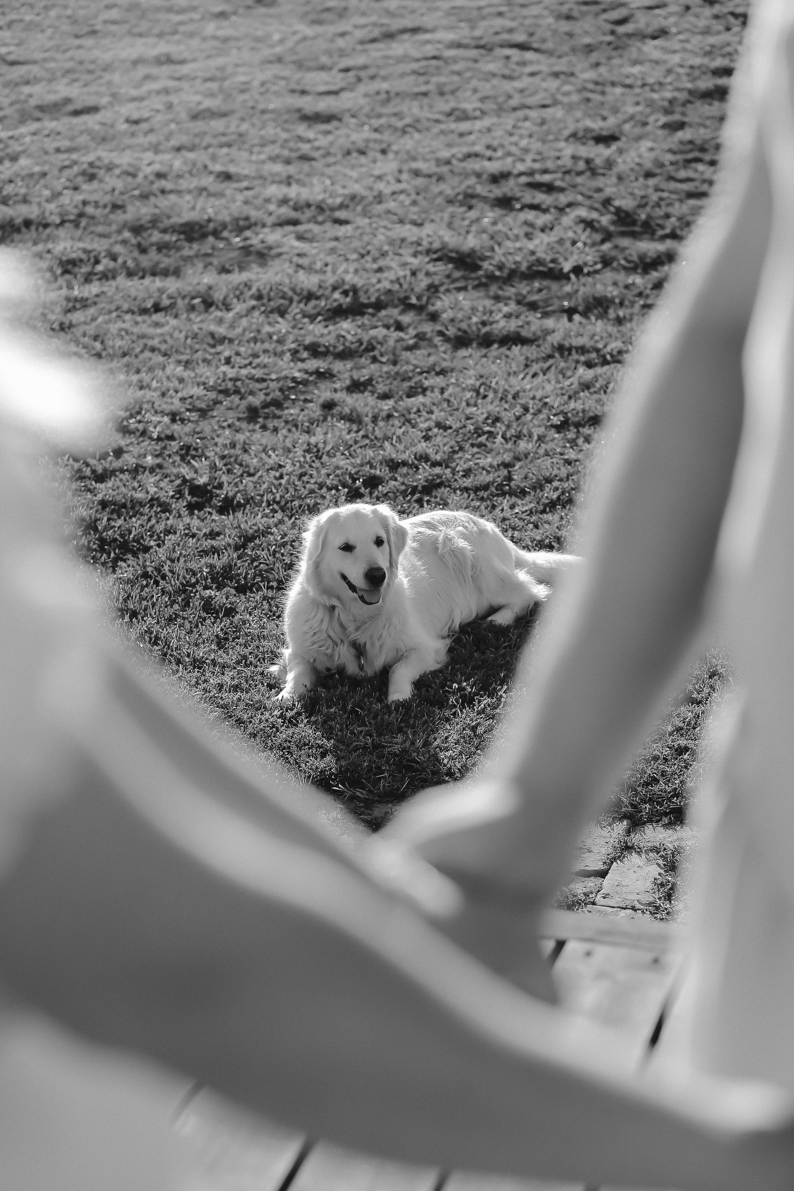 Портфолио фото. Фото и Видео в Краснодаре Verveyko Studio