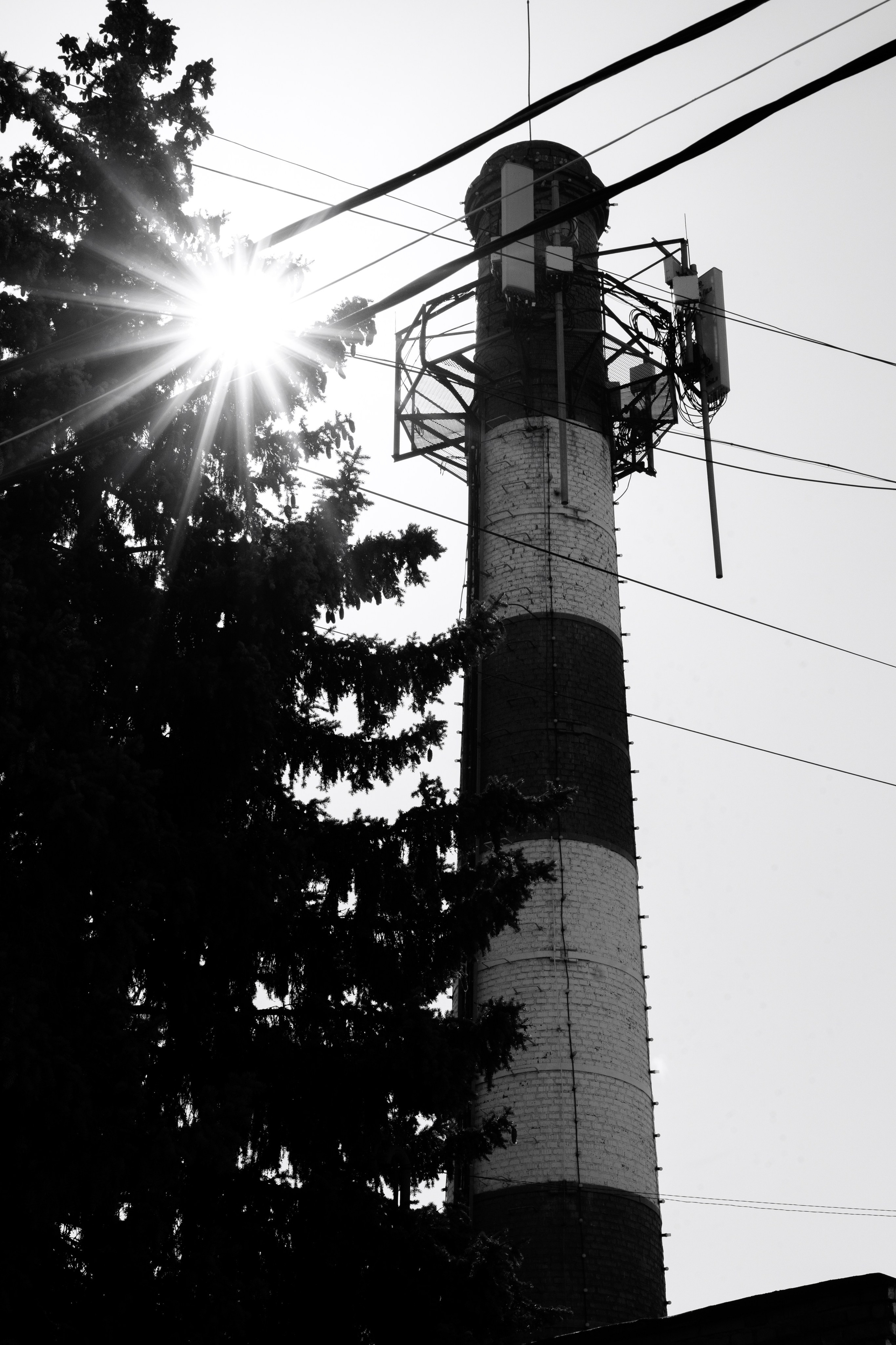 Street Солнечногорск 2026. Фотограф Олеся Сухова в Клину