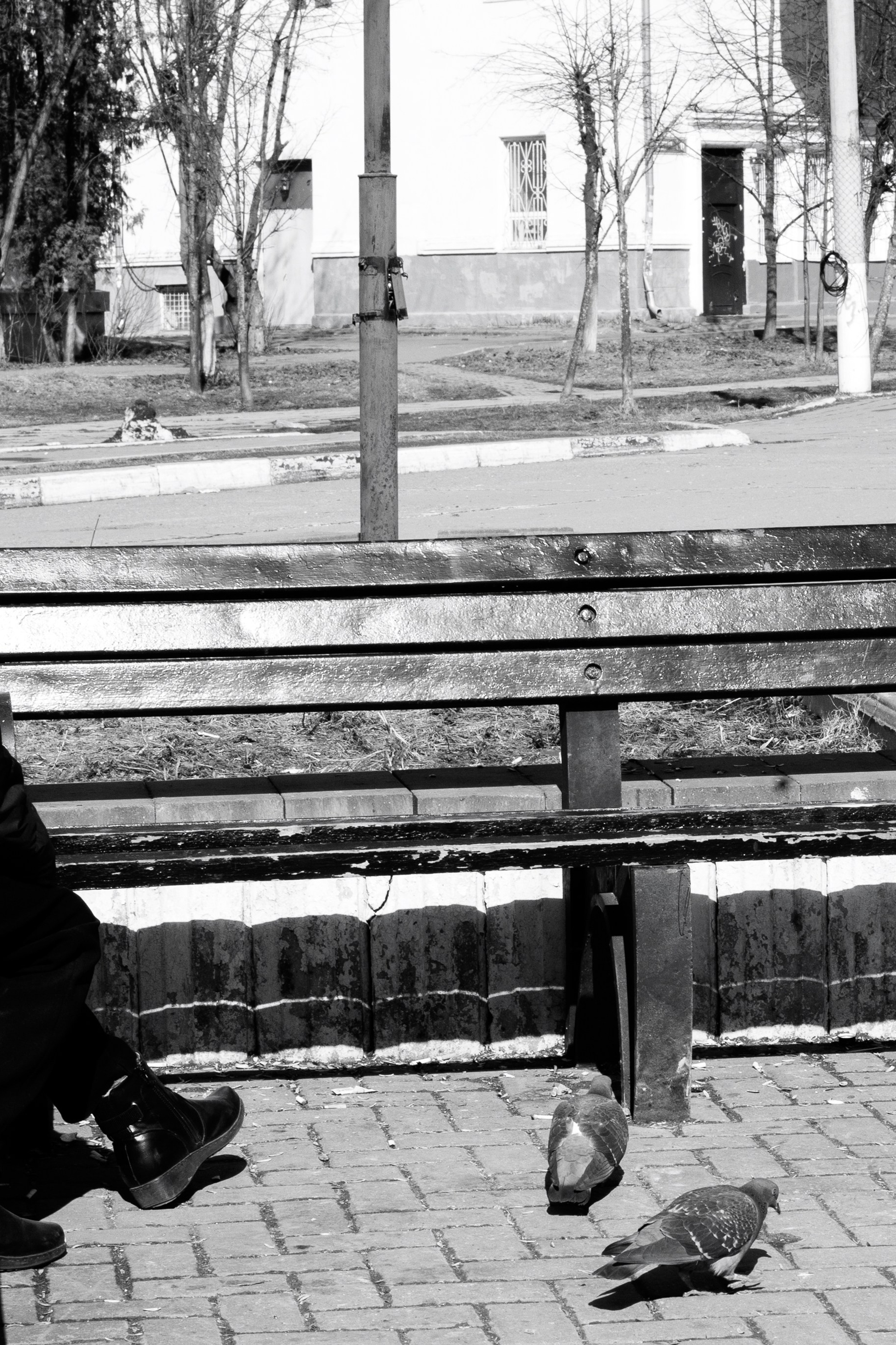 Street Солнечногорск 2026. Фотограф Олеся Сухова в Клину