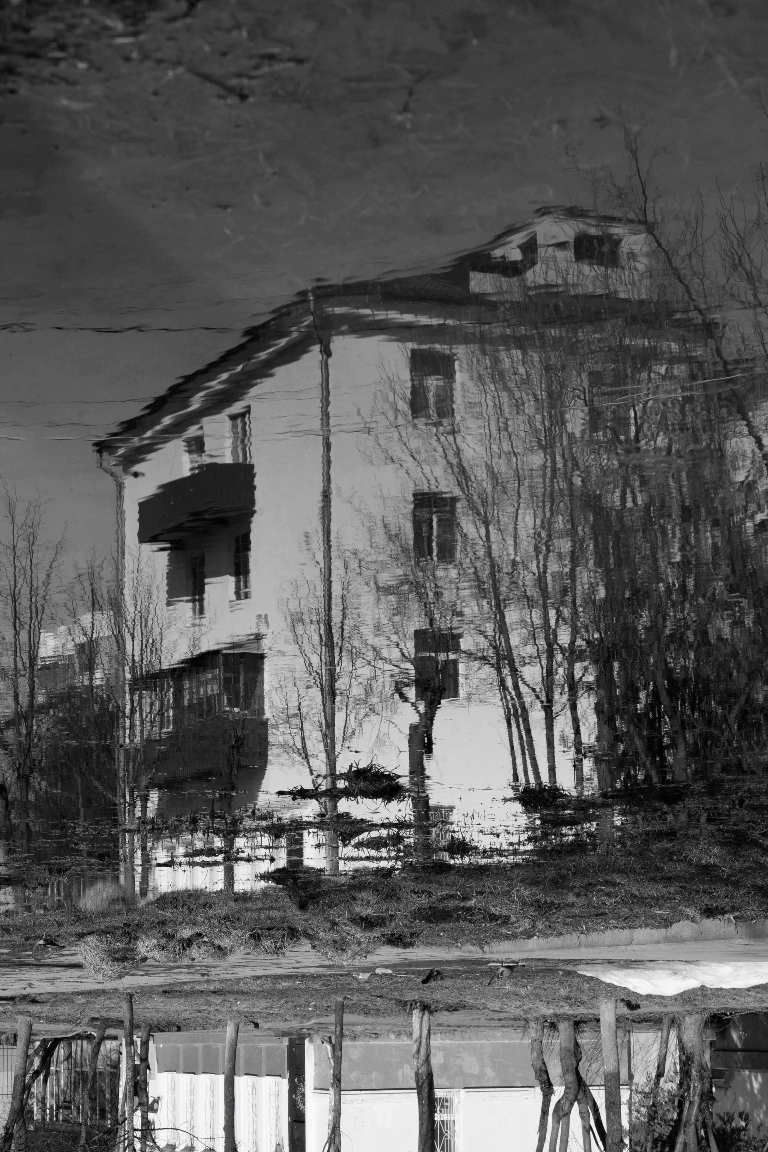 Street Солнечногорск 2026. Фотограф Олеся Сухова в Клину