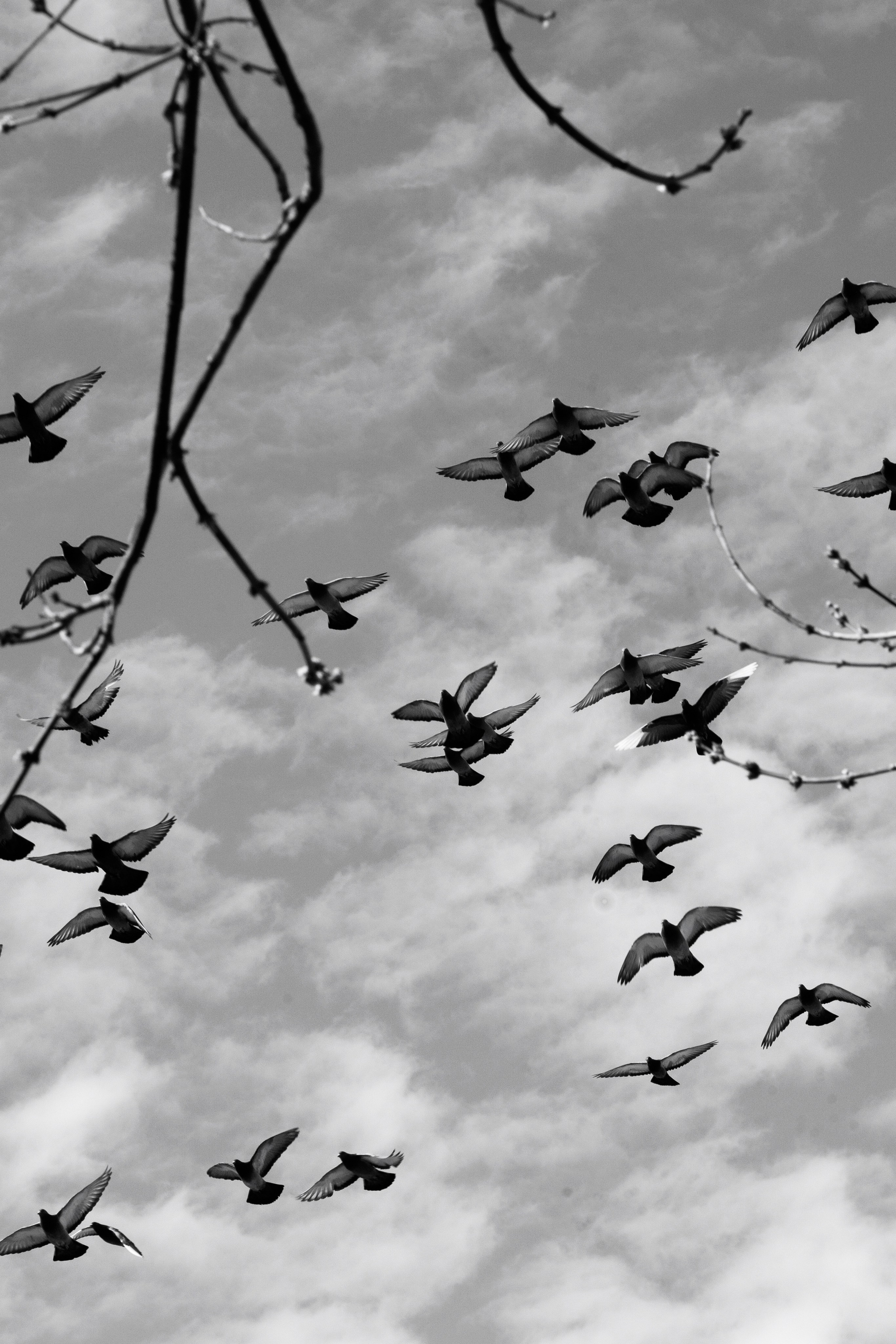 Street Солнечногорск 2026. Фотограф Олеся Сухова в Клину