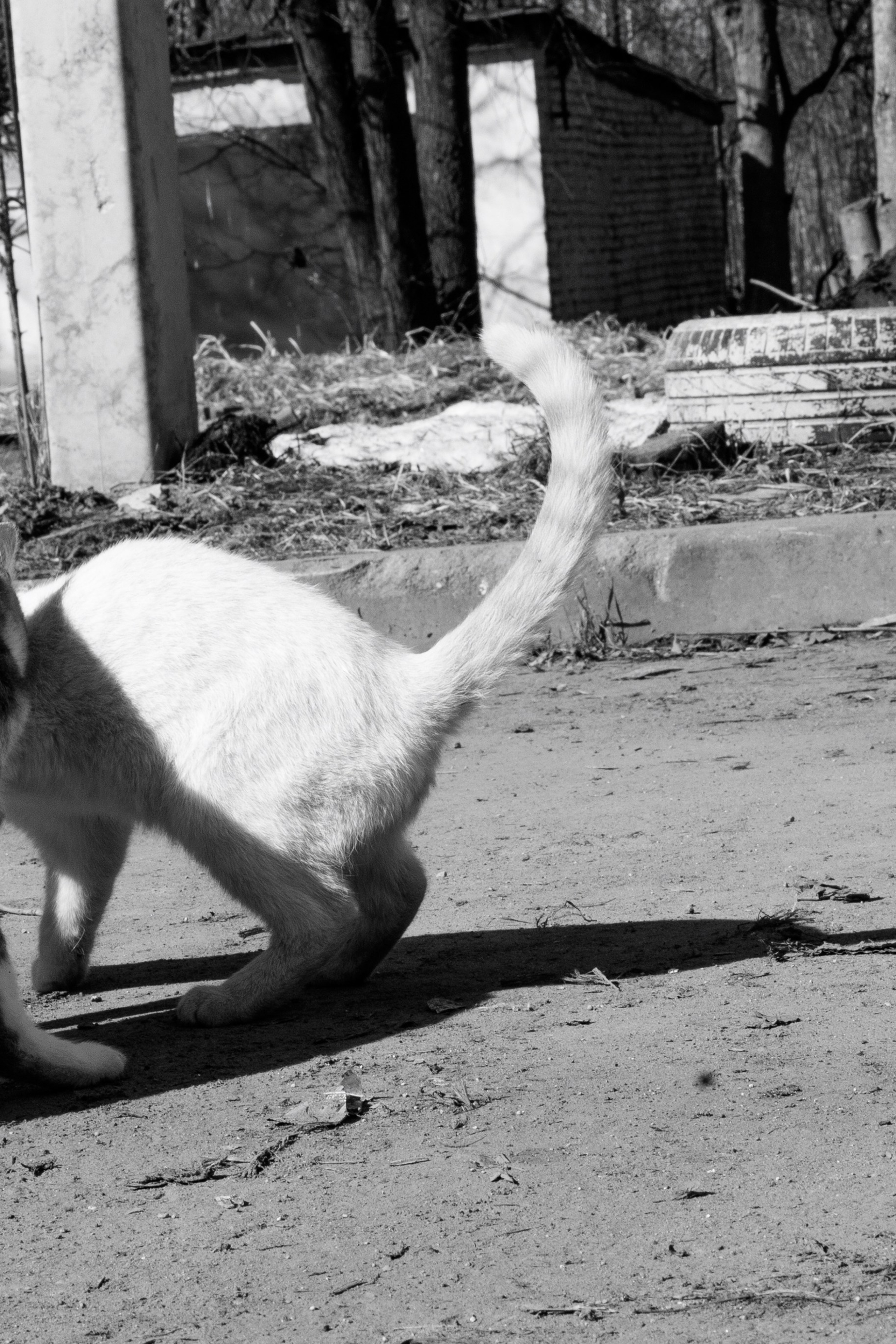 Street Солнечногорск 2026. Фотограф Олеся Сухова в Клину