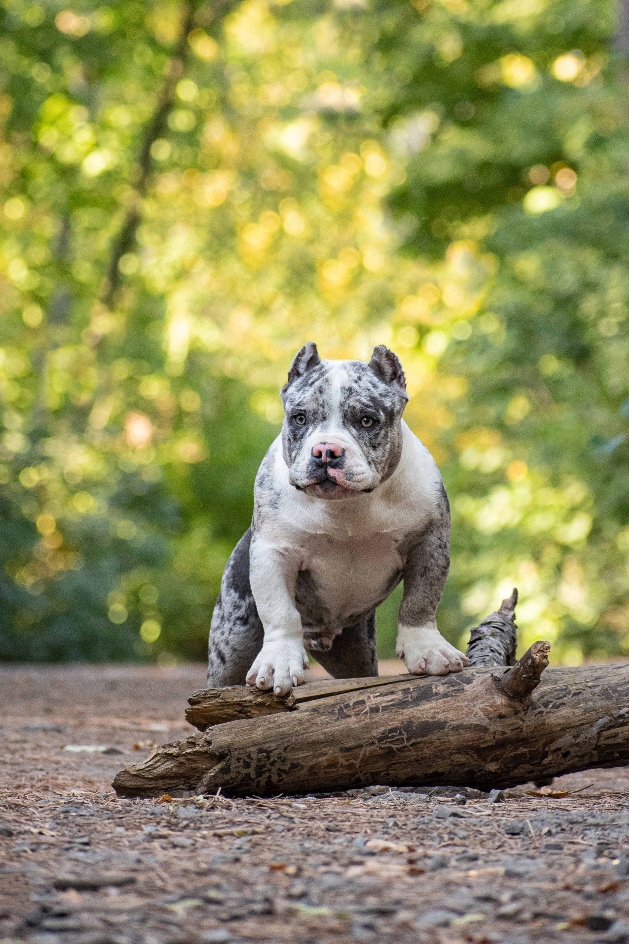 Фотопрогулки