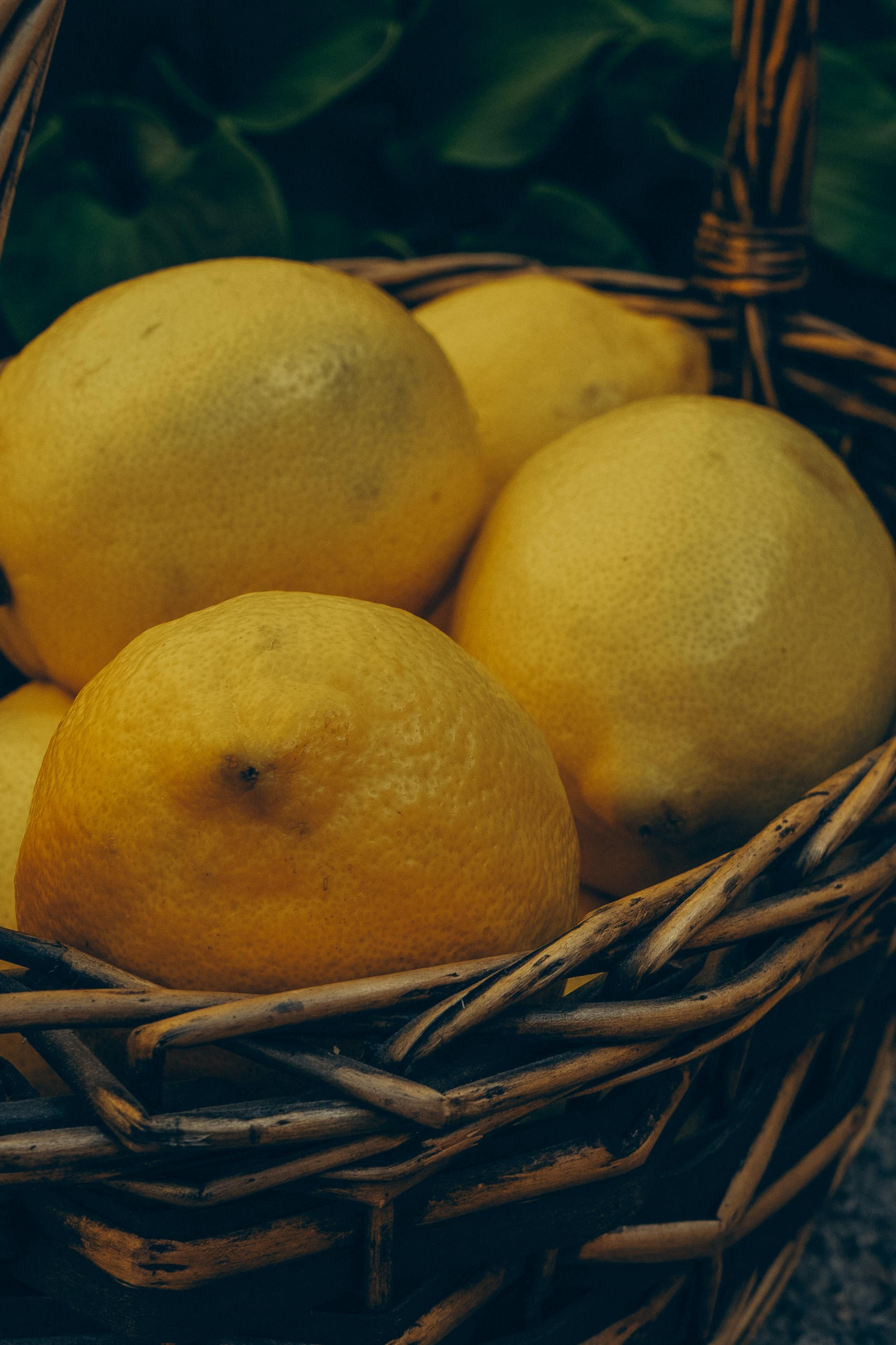 Отзывы. Портретный фотограф Санкт-Петербург Зикс Елизавета