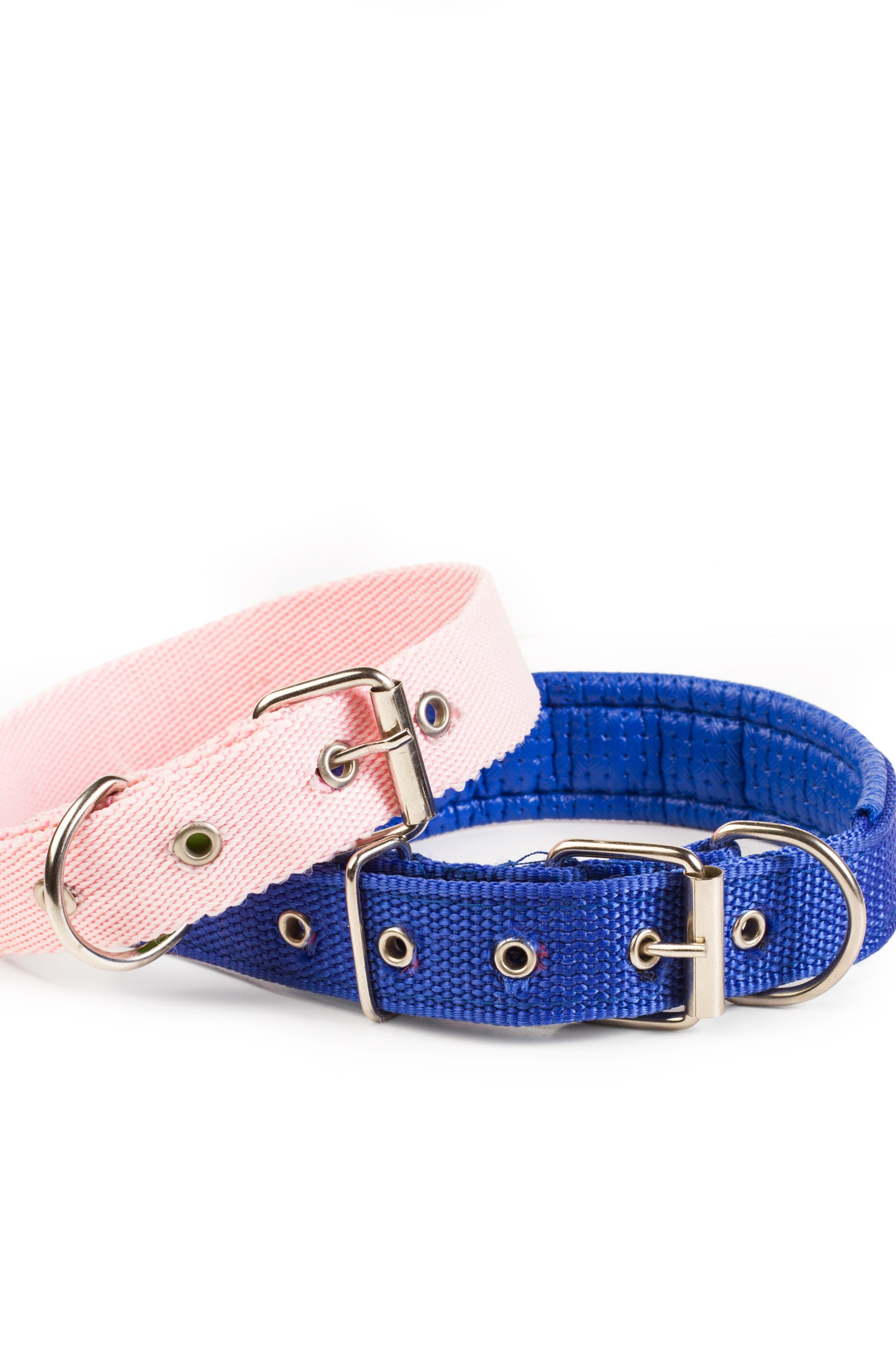 Идея для сезонных товаров для животных.