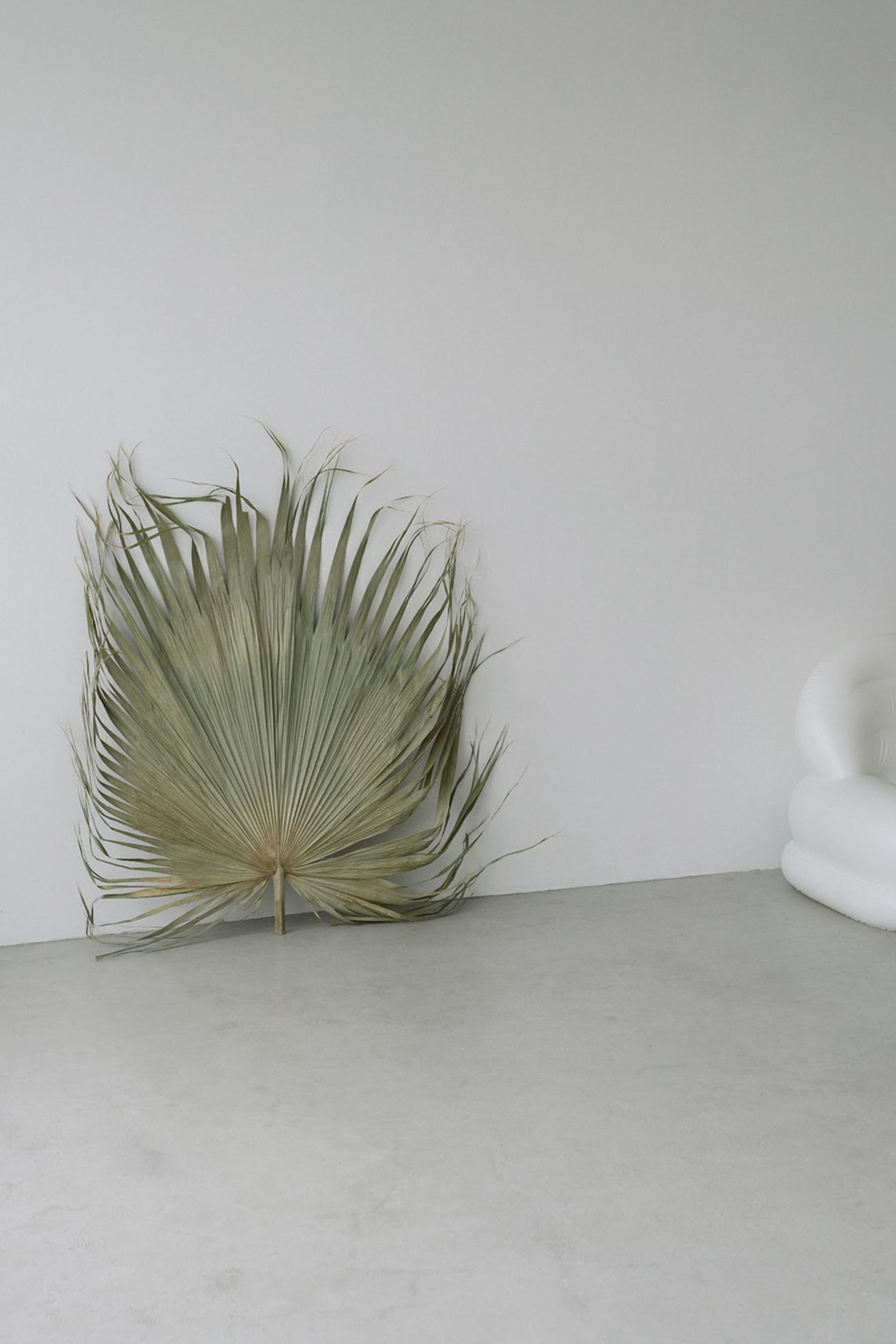 Студия VERBA 2.0 Зал 53 для предметной съемки  Новосибирск|Sale Easy