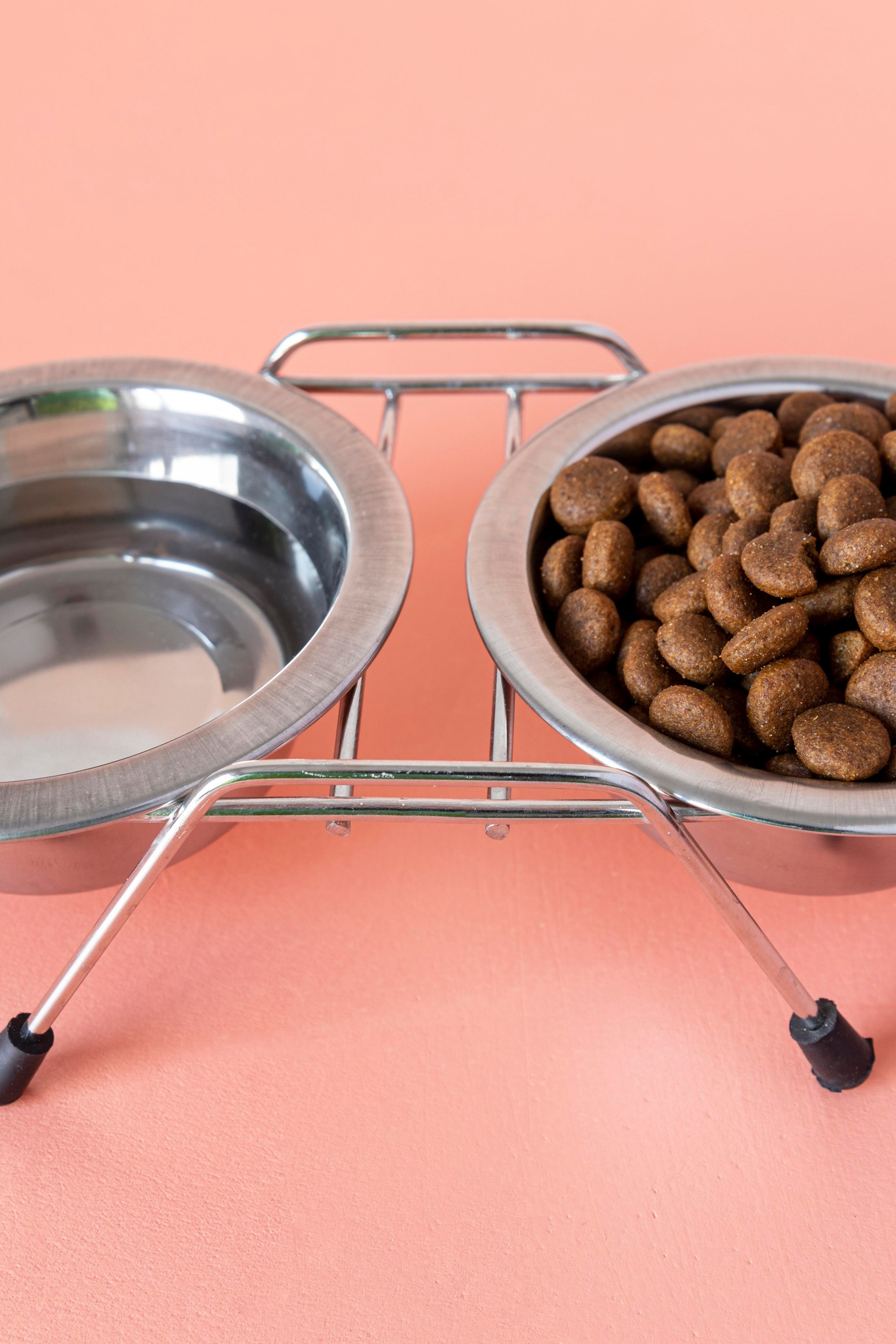 Идея для многофункциональных товаров для животных.