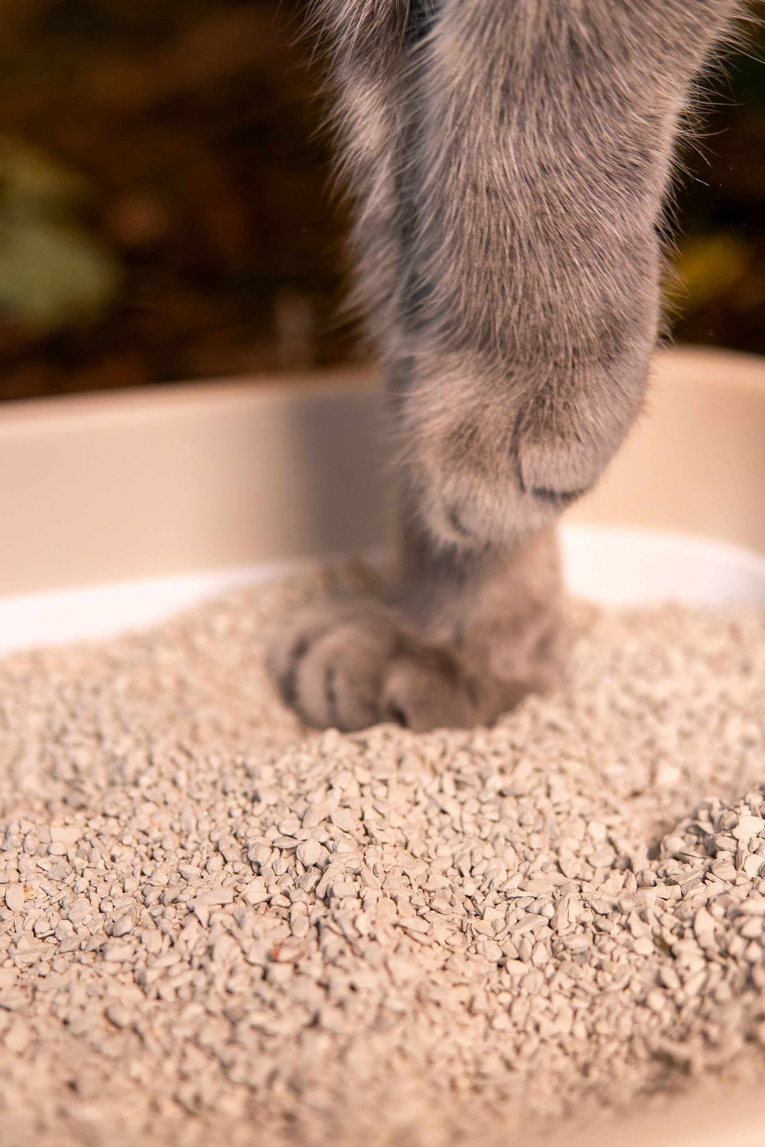 Портфолио фотографа — Ирик Казань |Sale Easy