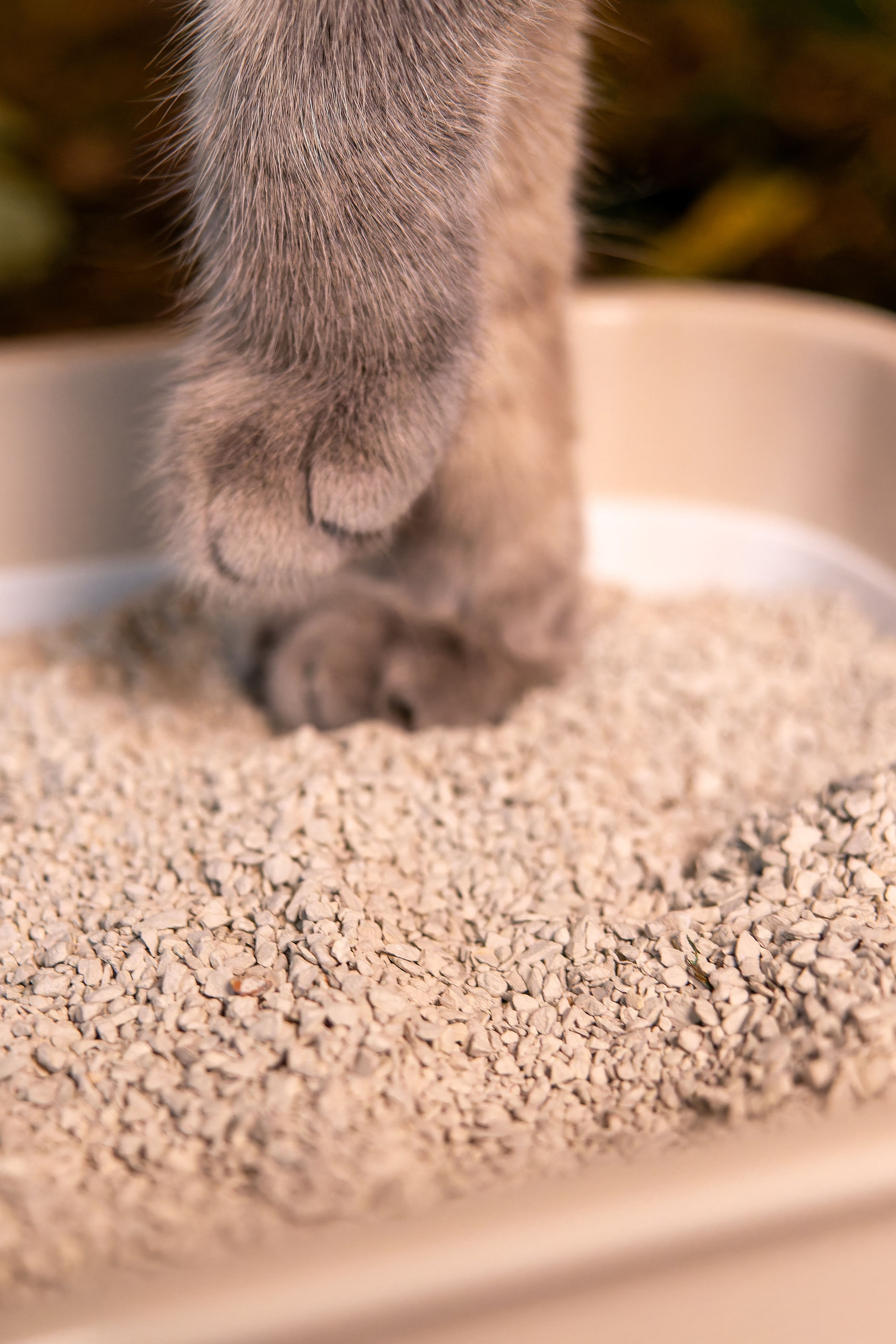 Портфолио фотографа — Ирик Казань |Sale Easy