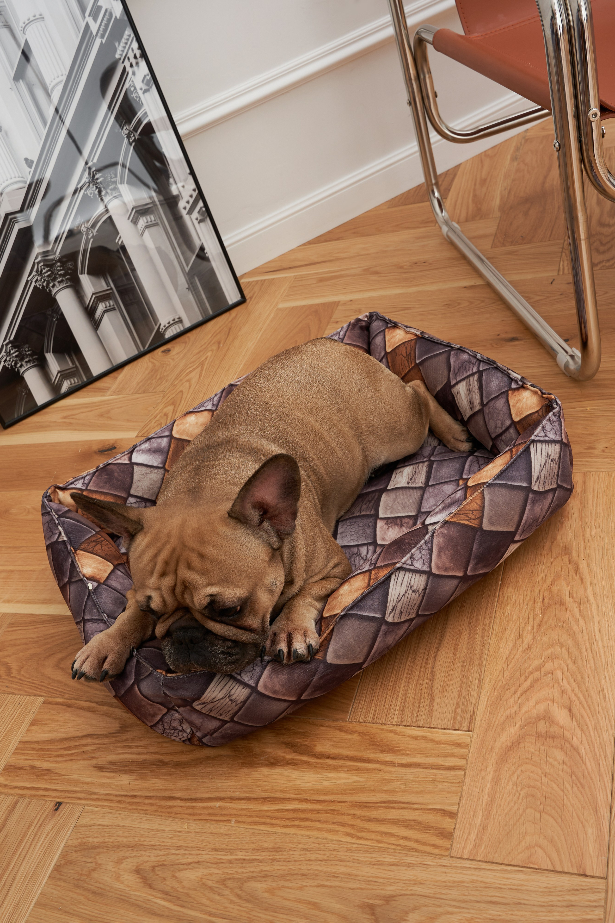 Модель для предметной съемки Бульдог Банутти НН| Sale Easy