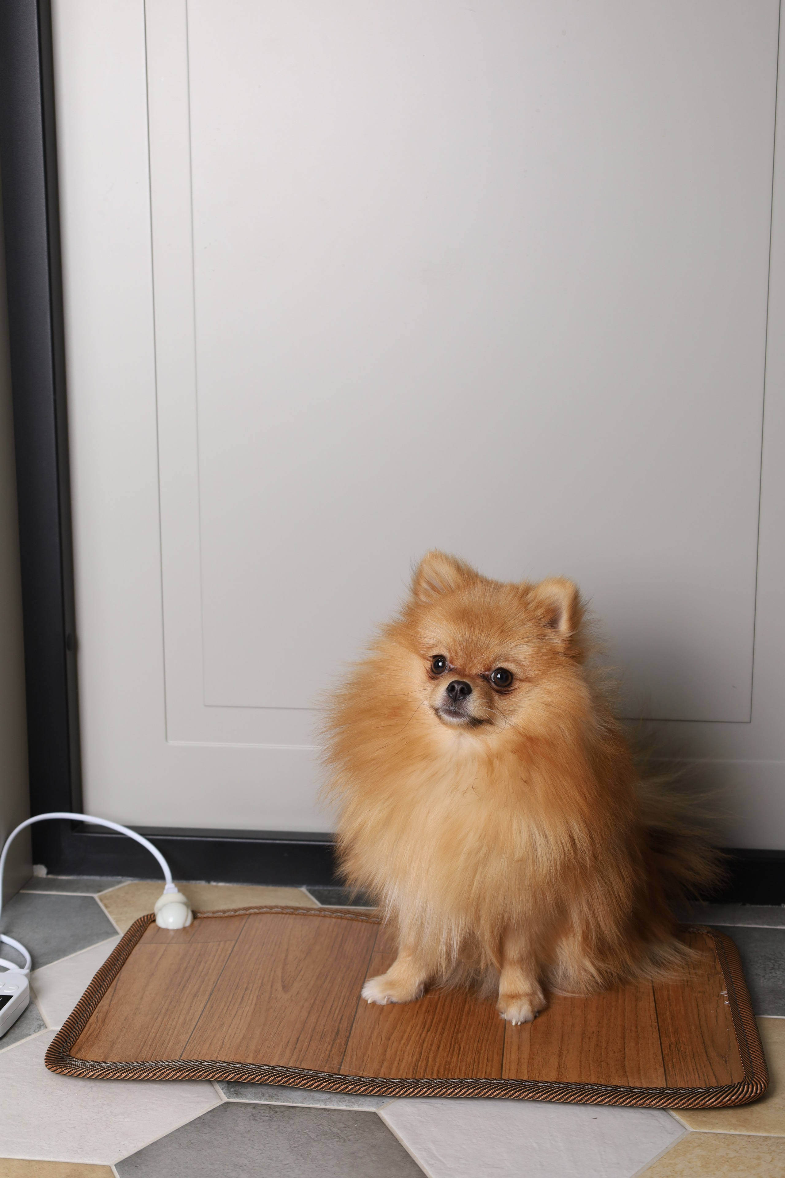 Квартира на Оранжерейной для предметной съемки Н.Новгород |Sale Easy