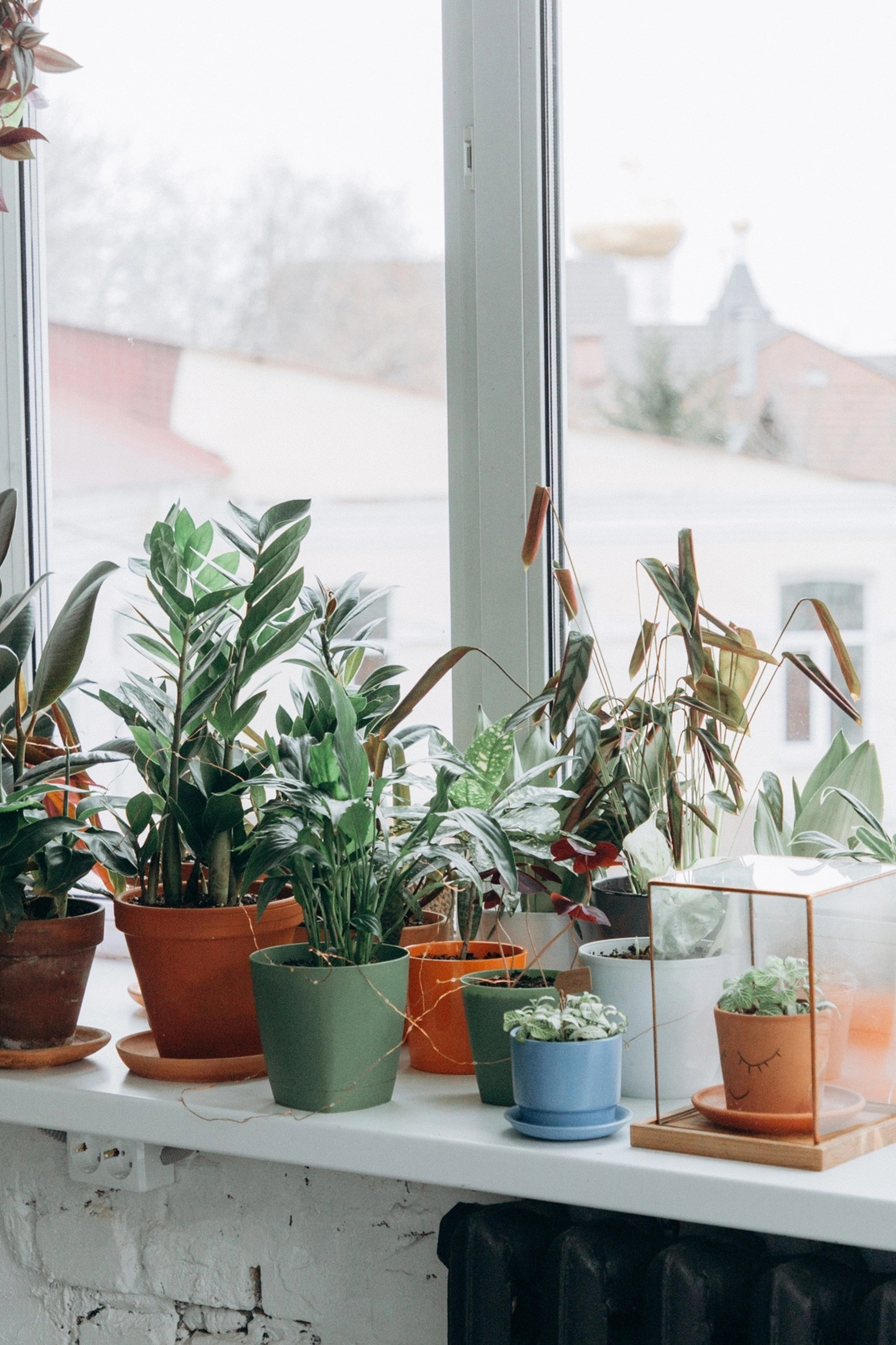 Студия Парник для предметной съемки Н.Новгород |Sale Easy