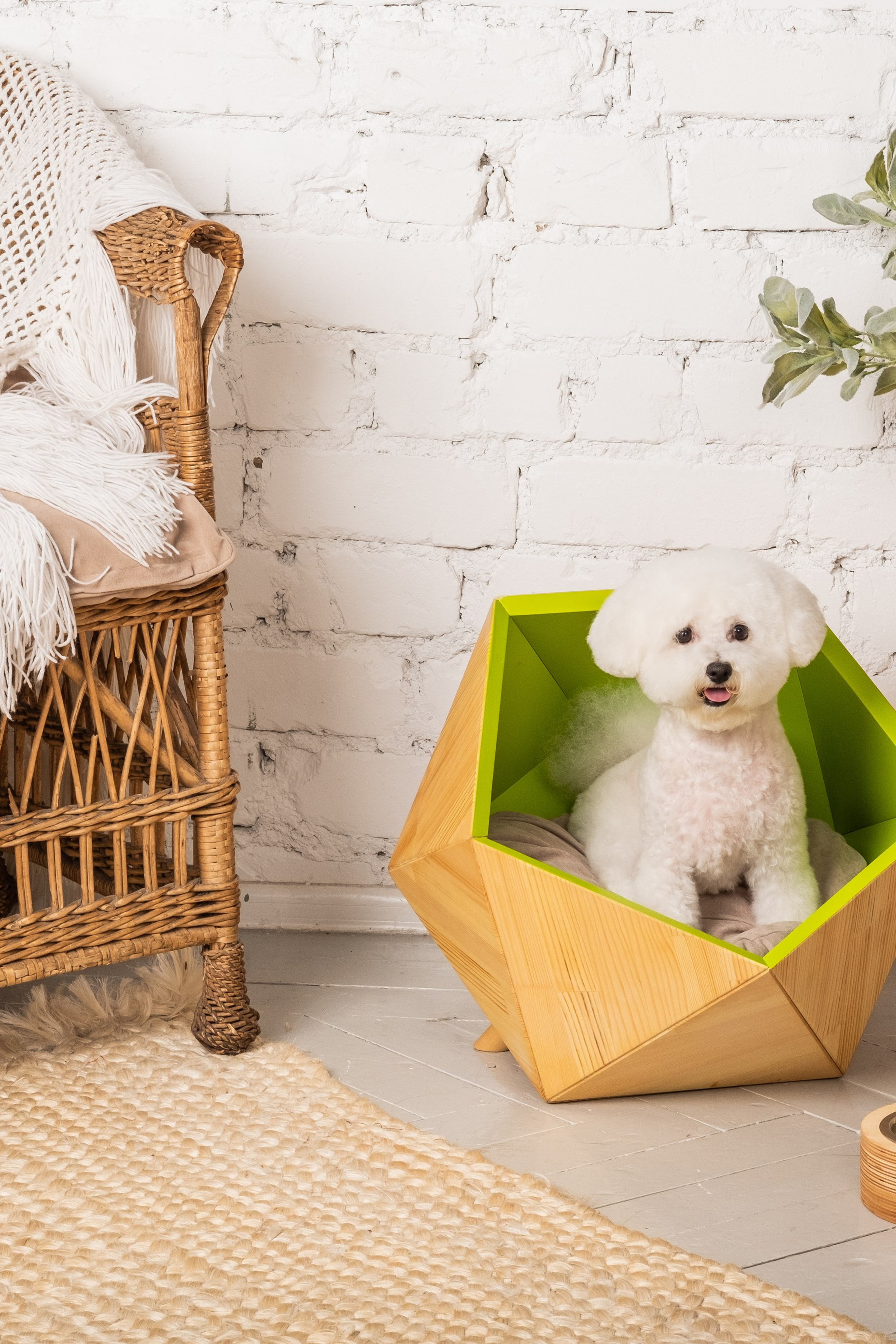 Товары для животных с уникальными текстурами и материалами.