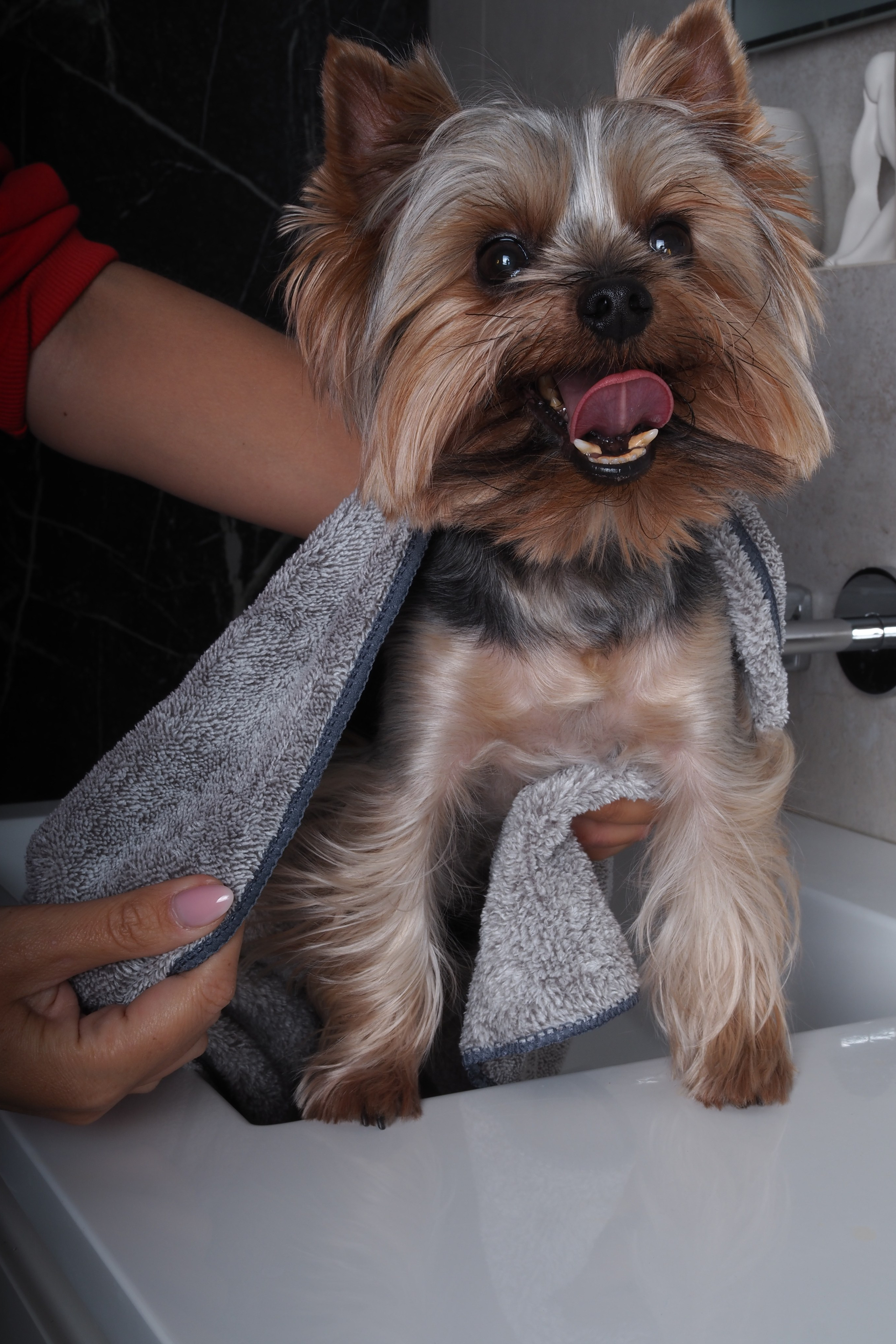 Модель для предметной съемки йорк Рафаэль Н.Н.| Sale Easy