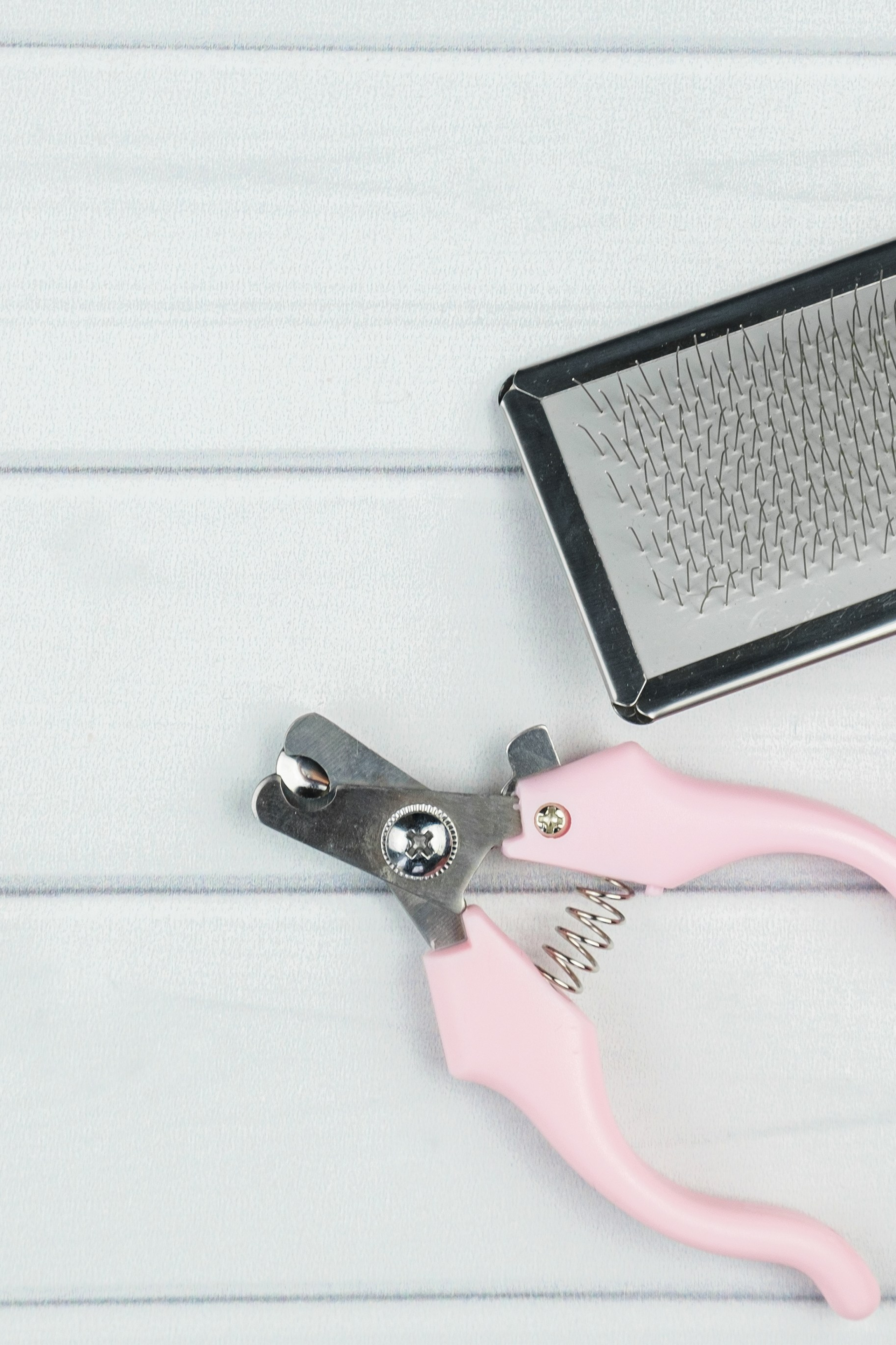 Референс для удобных товаров для животных для хранения.