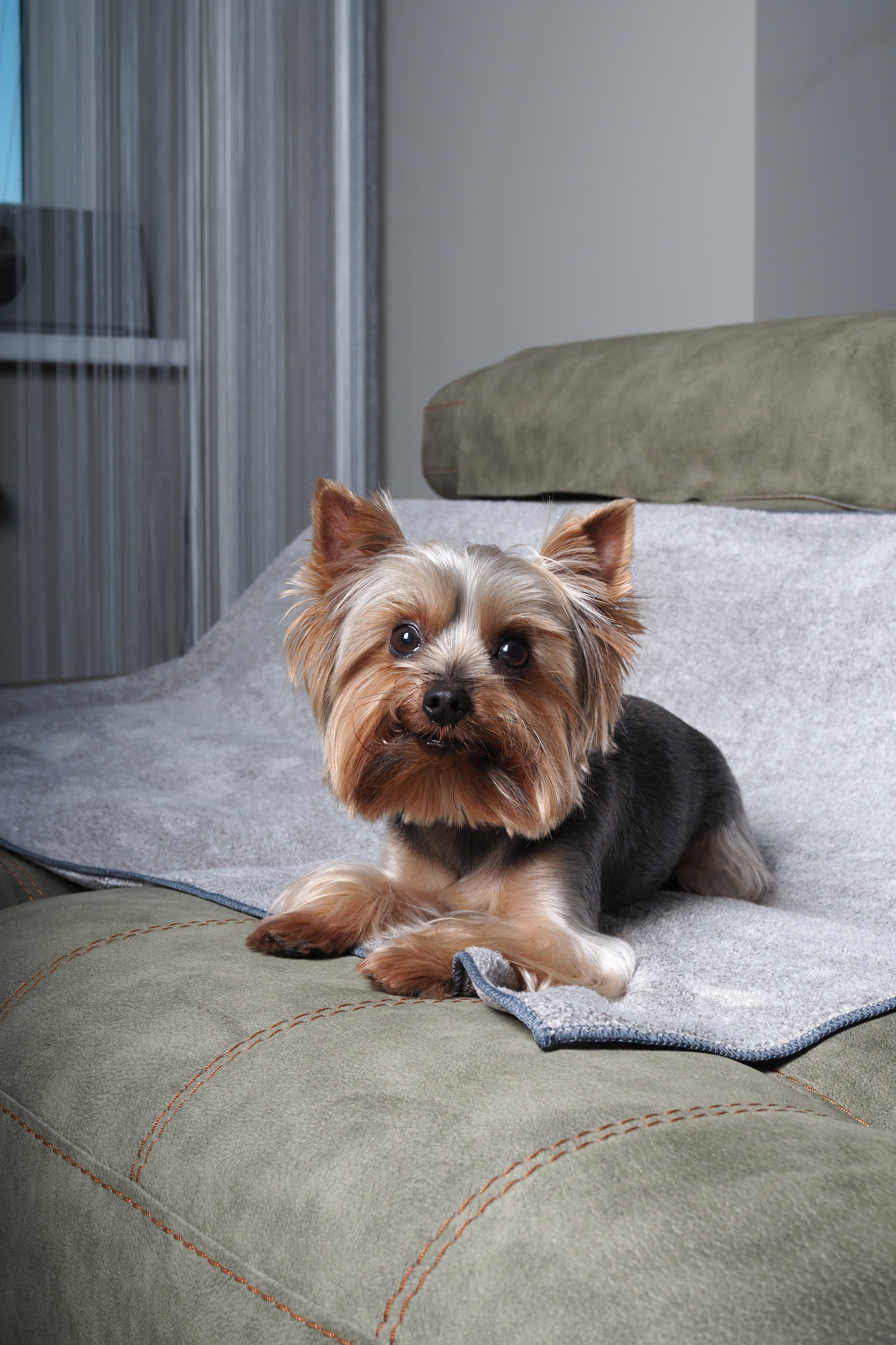 Модель для предметной съемки йорк Рафаэль Н.Н.| Sale Easy