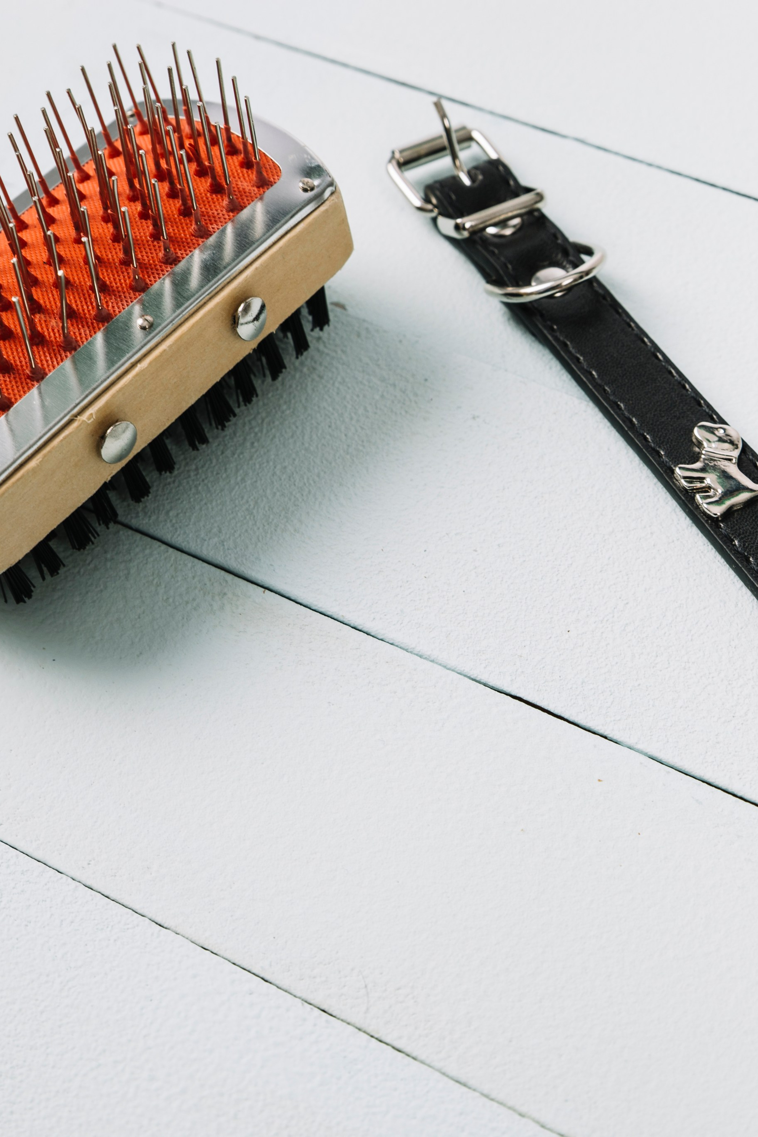 Пример функциональных товаров для животных для удобства владельцев.