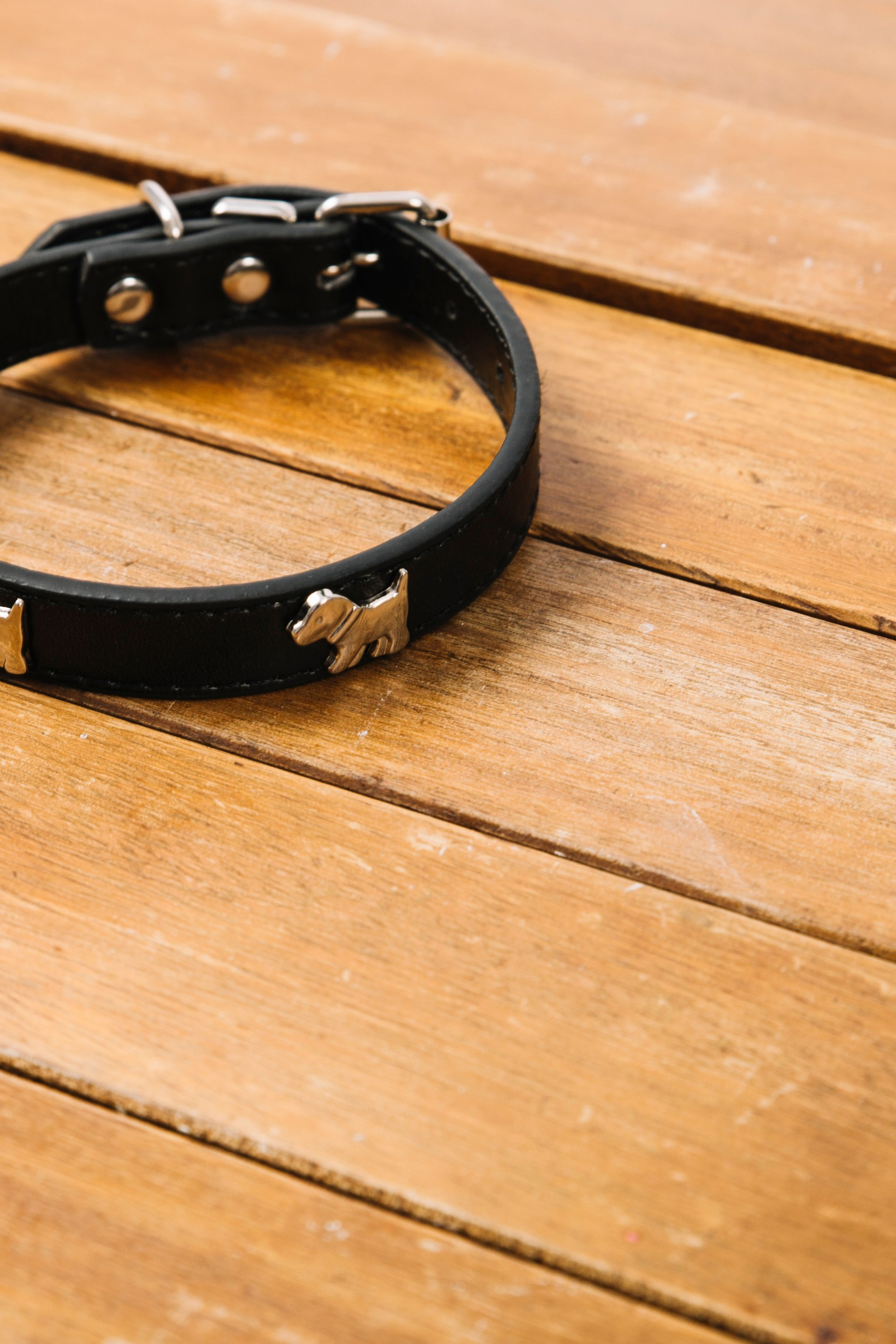 Товары для животных с яркими принтами и рисунками.