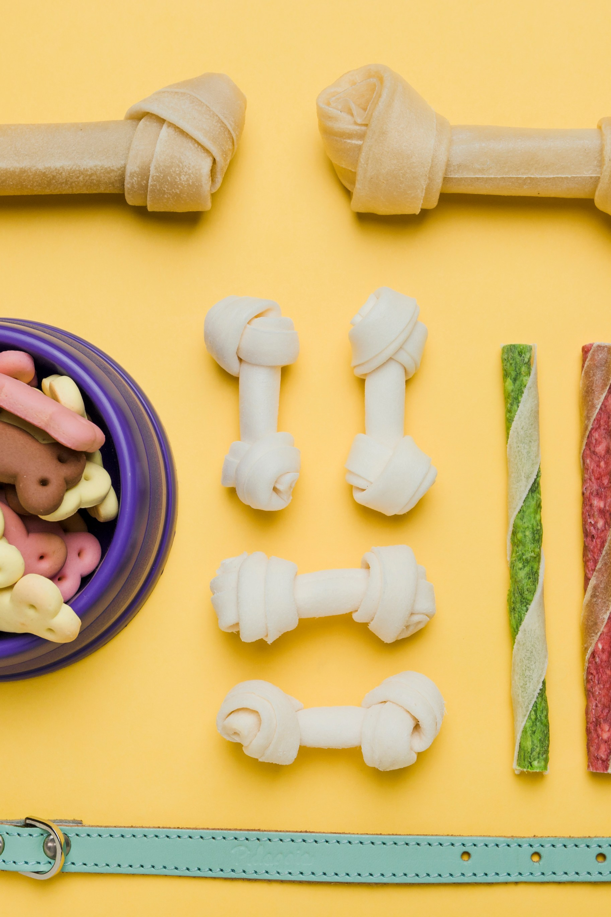 Референс для экологичных товаров для животных.