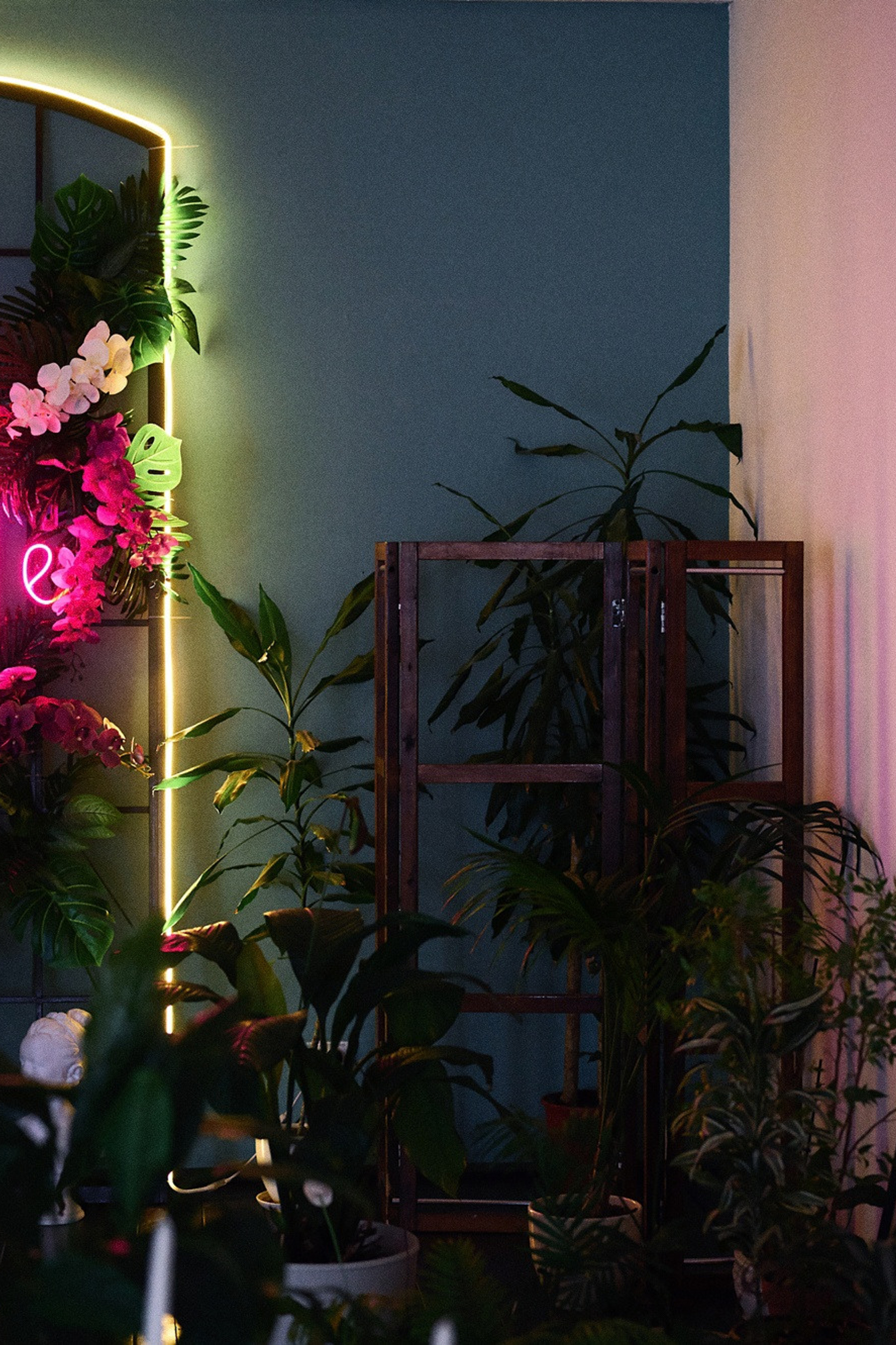 Локация Дом.уют Grace Place для предметной съемки Красноярск|Sale Easy